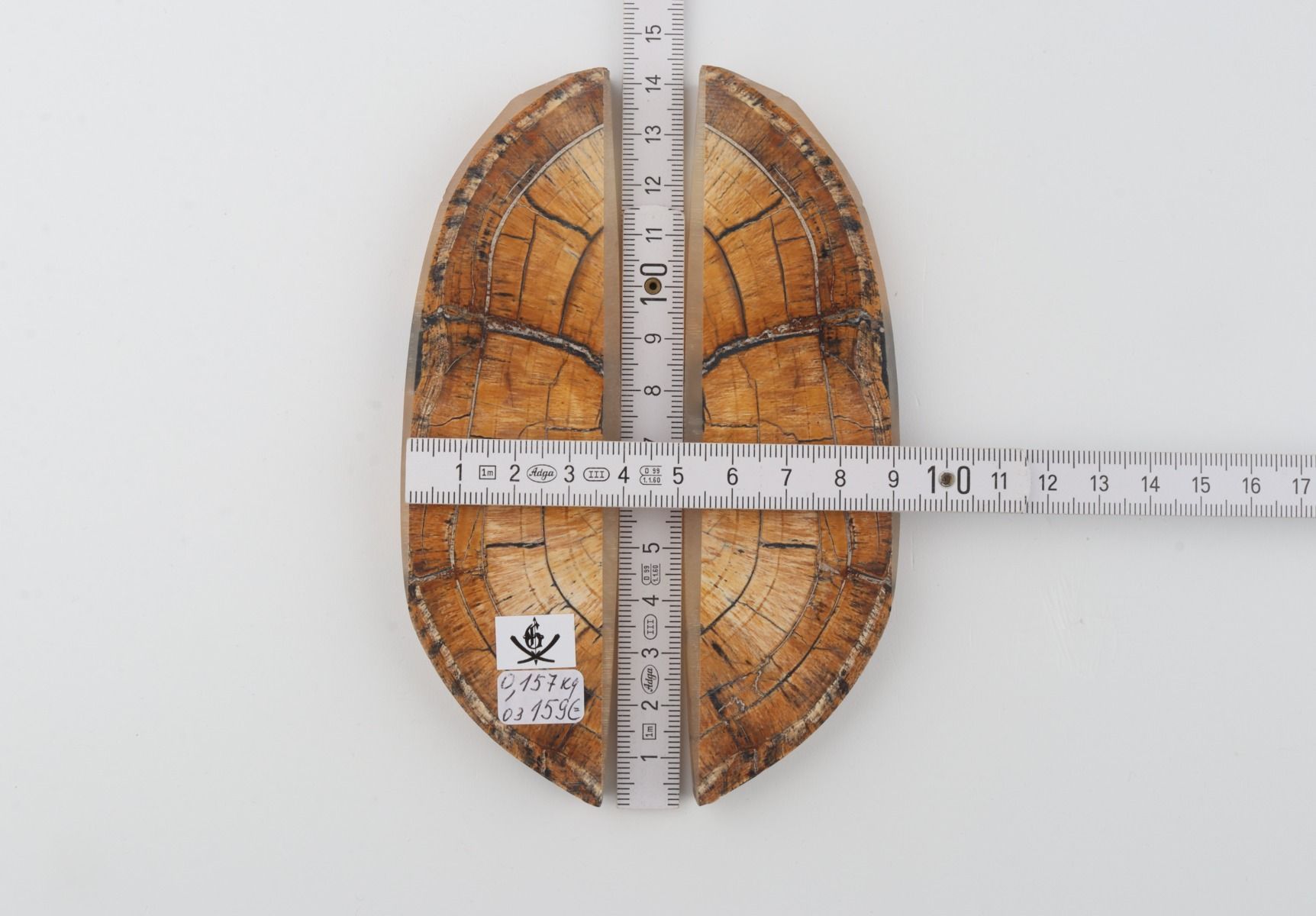 Stabilised mammoth ivory scales