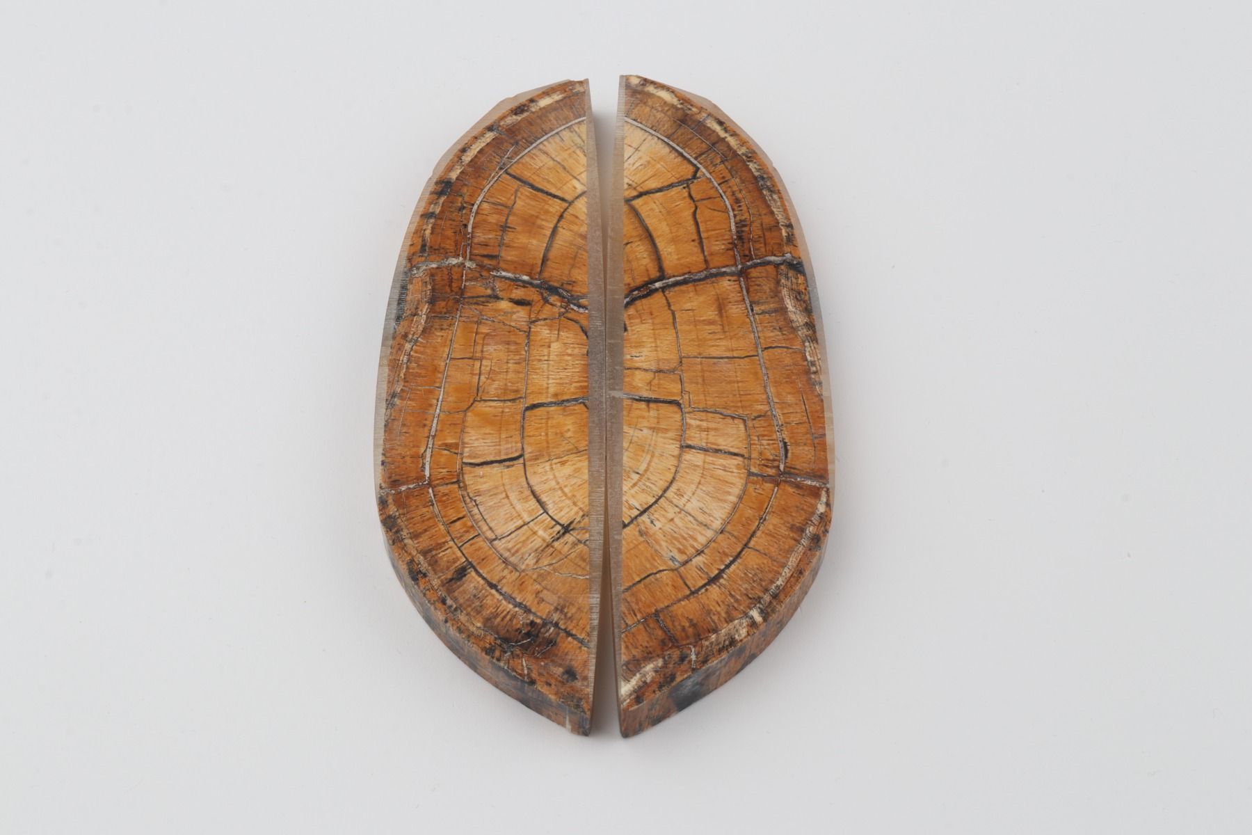 Stabilised mammoth ivory scales
