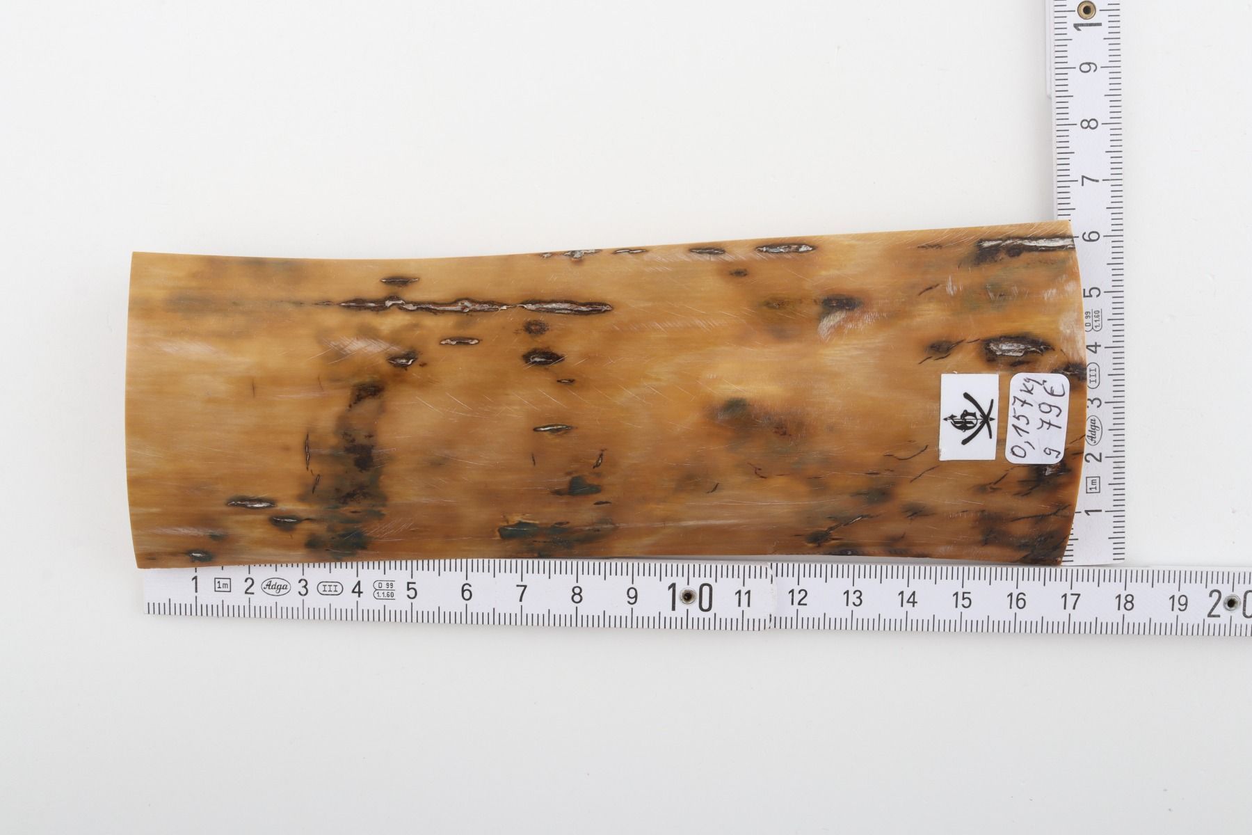 Beige mammoth bark