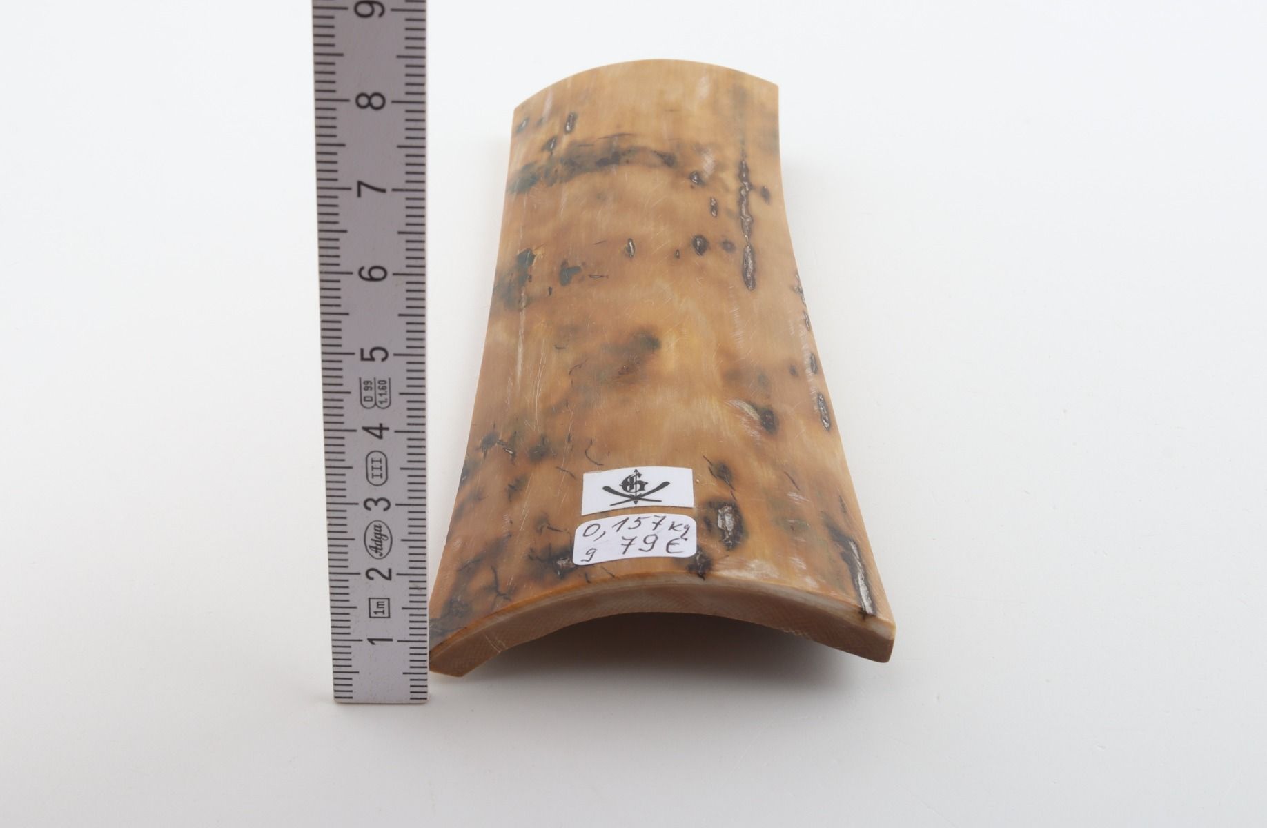 Beige mammoth bark