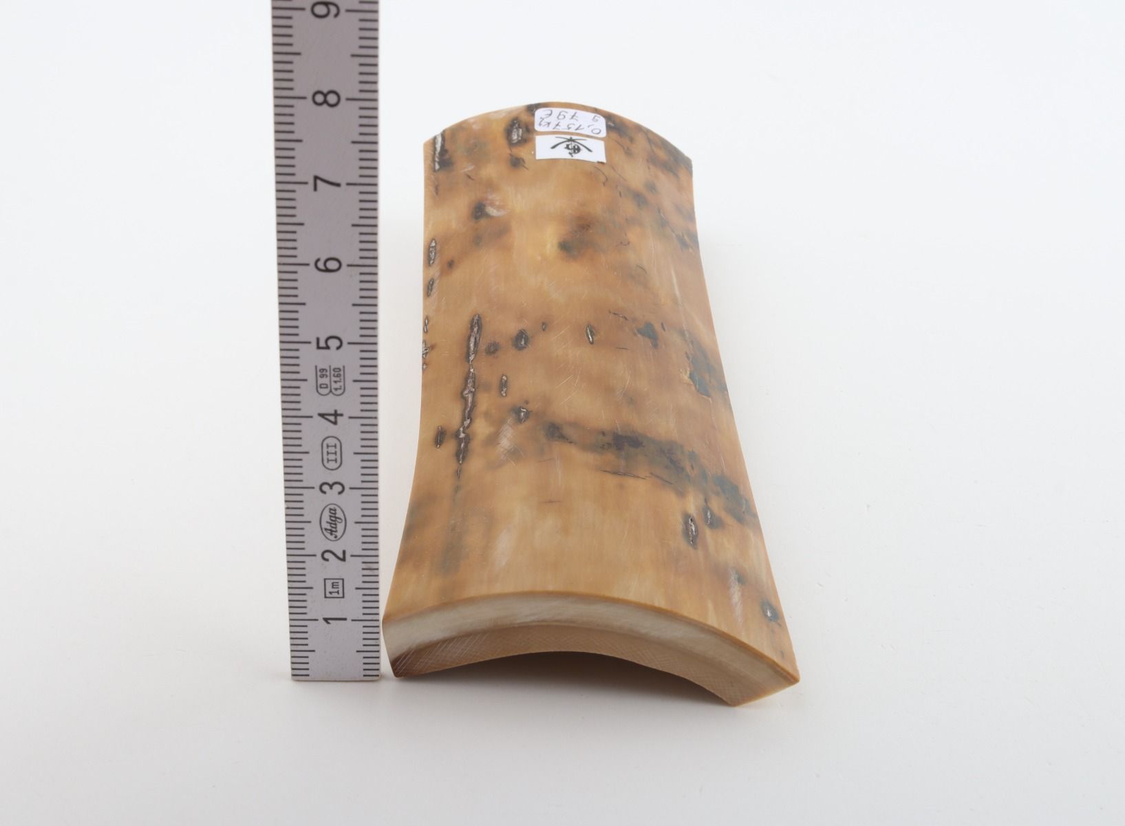 Beige mammoth bark