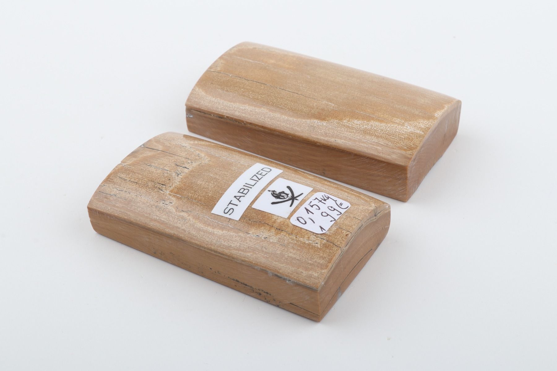 Stabilised mammoth bark scales