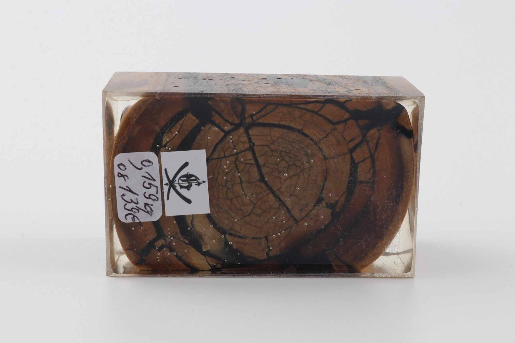 Stabilised mammoth ivory block