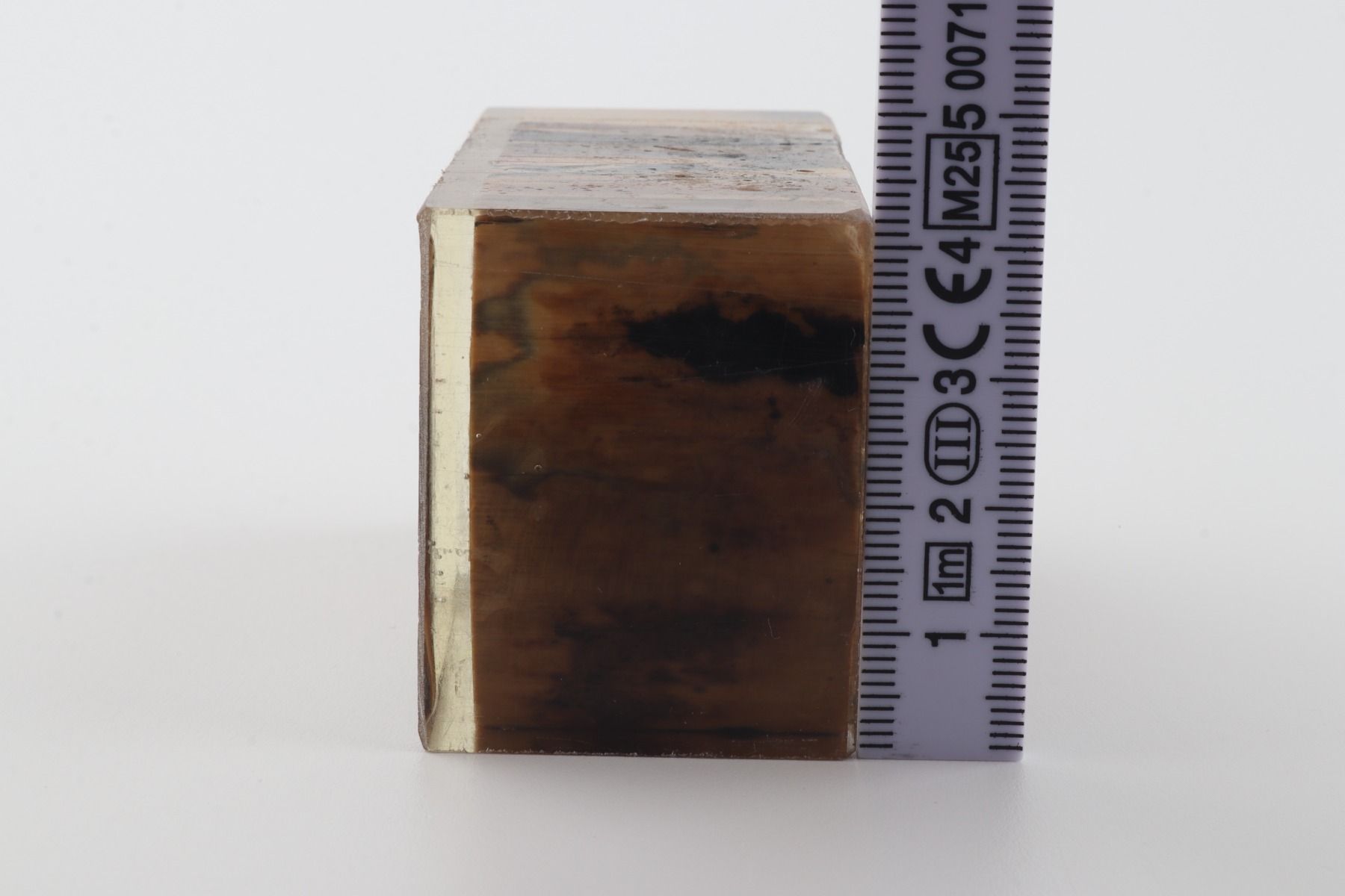 Stabilised mammoth ivory block