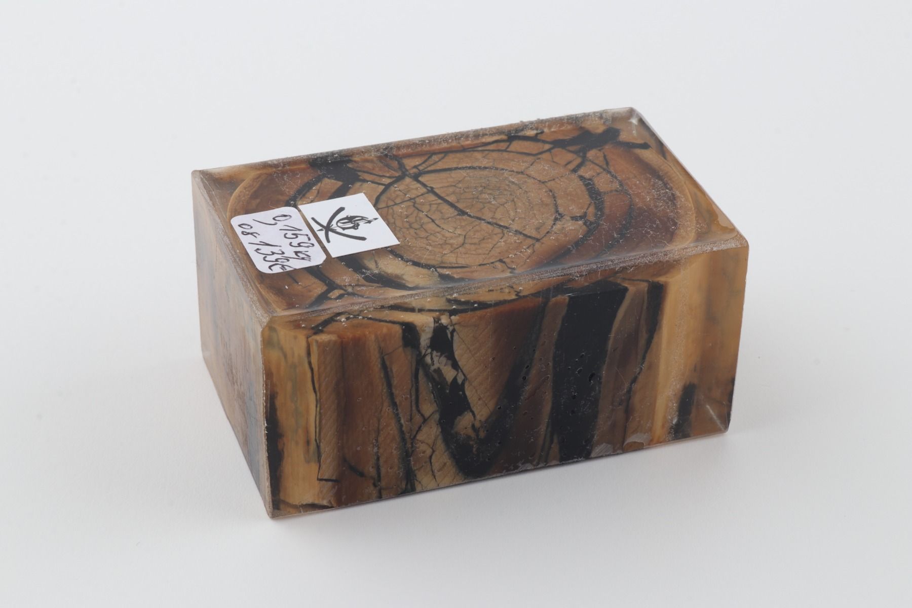 Stabilised mammoth ivory block