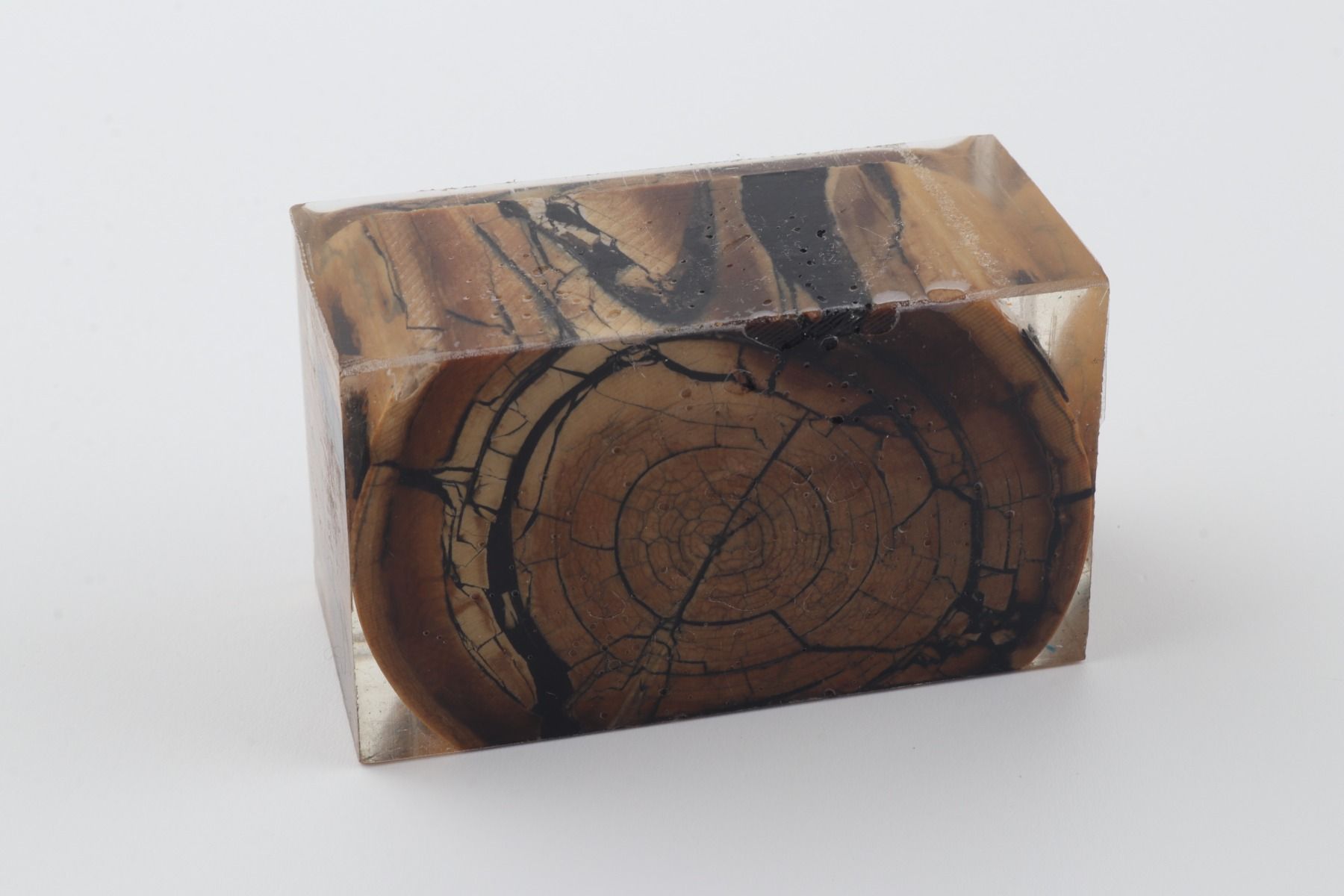 Stabilised mammoth ivory block