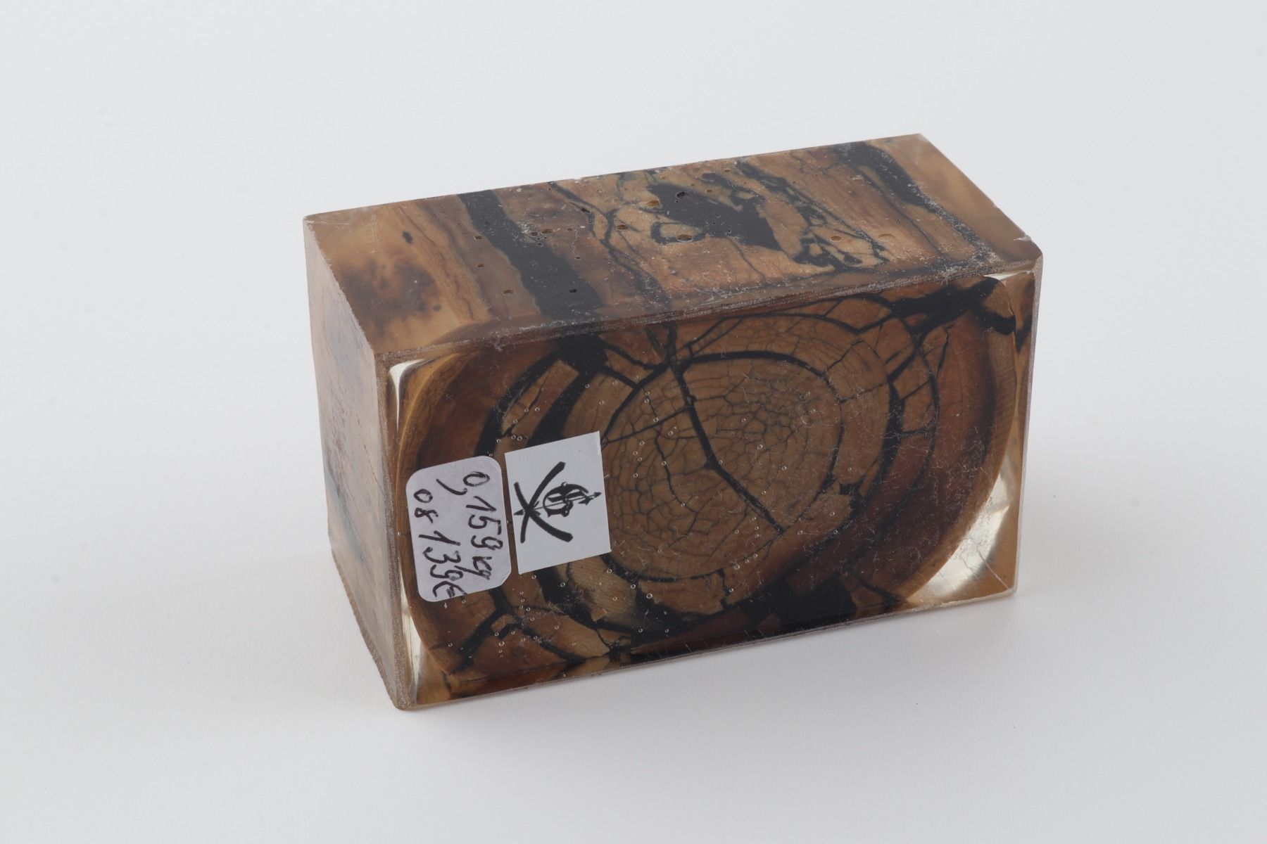 Stabilised mammoth ivory block