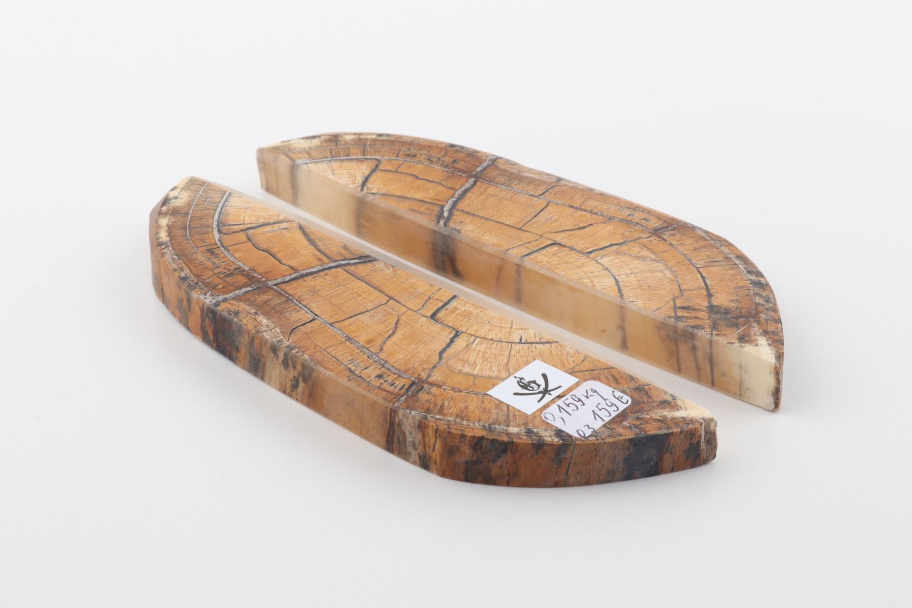 Stabilized mammoth ivory scales