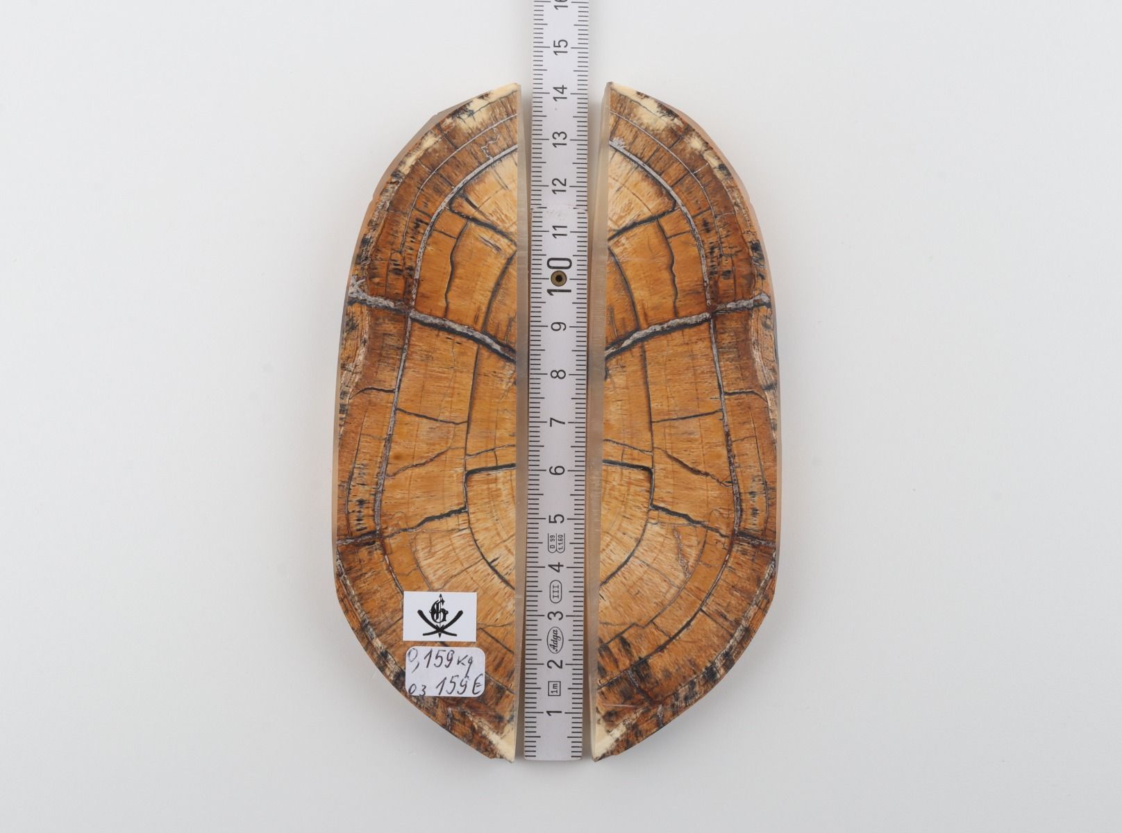 Stabilized mammoth ivory scales