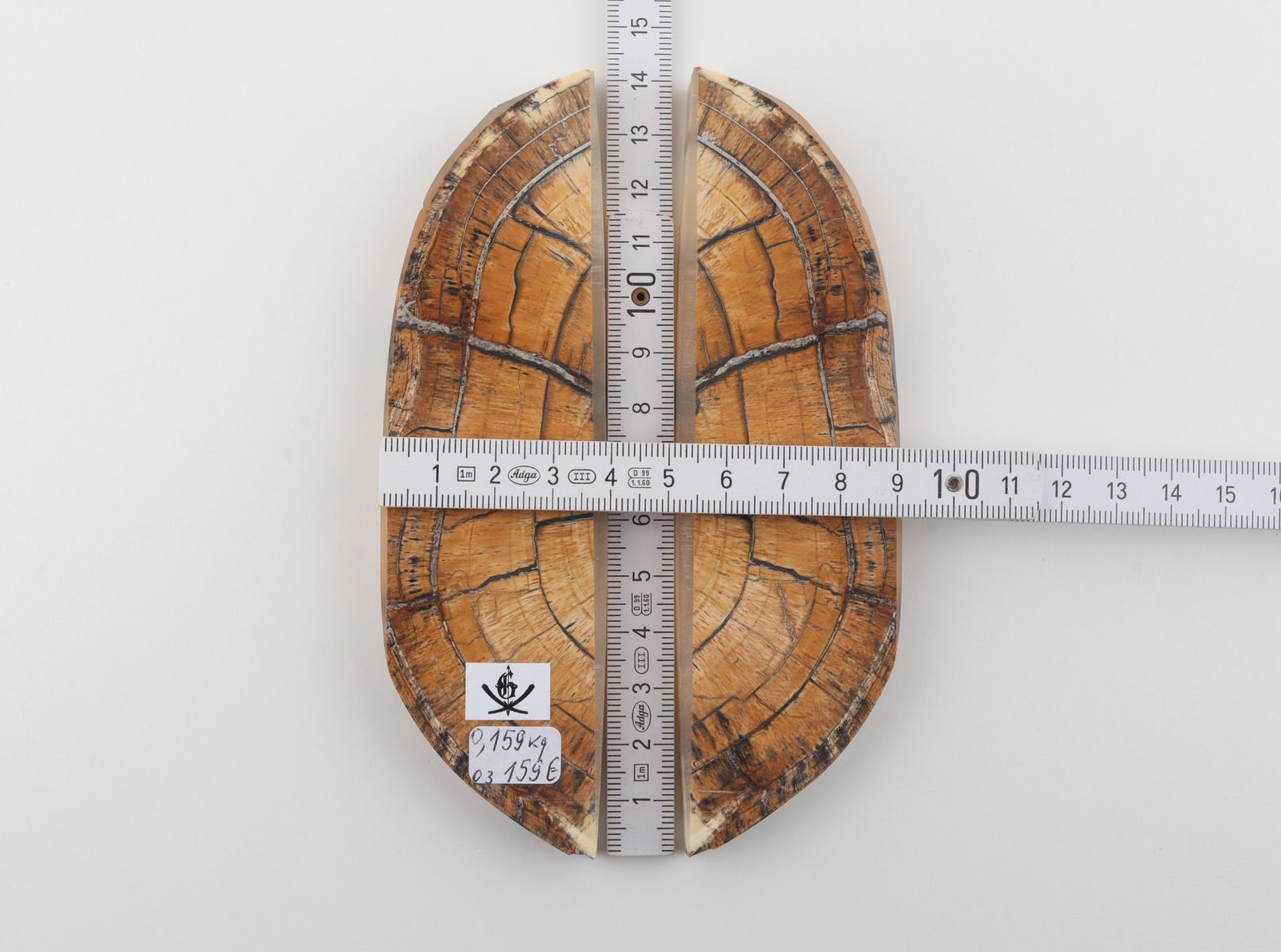 Stabilized mammoth ivory scales