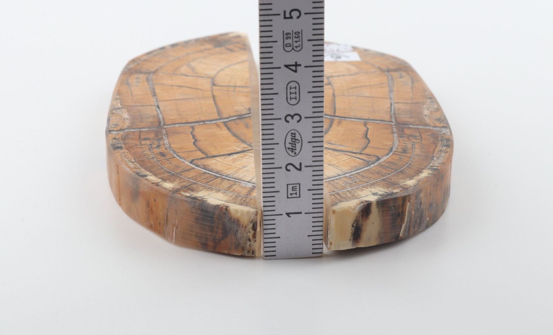 Stabilized mammoth ivory scales