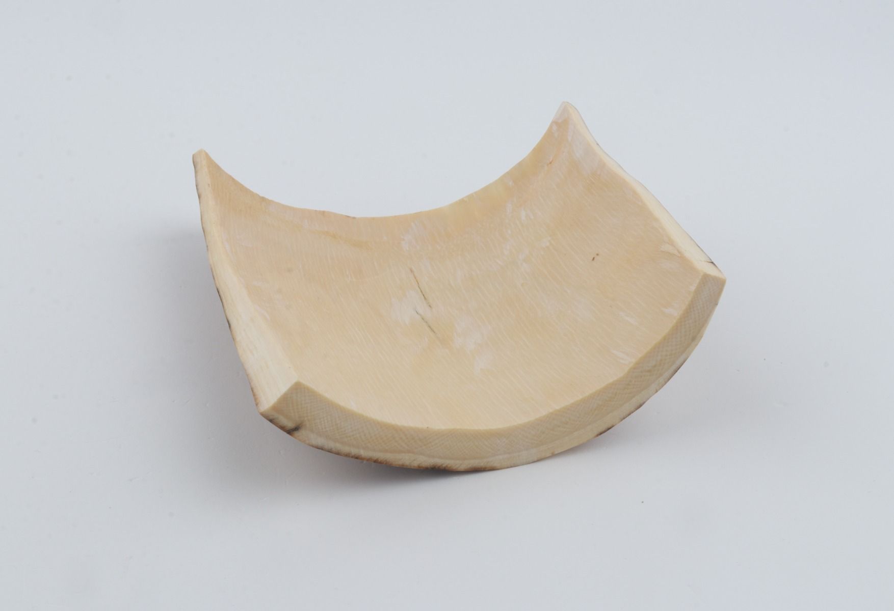 Beige-brown mammoth bark