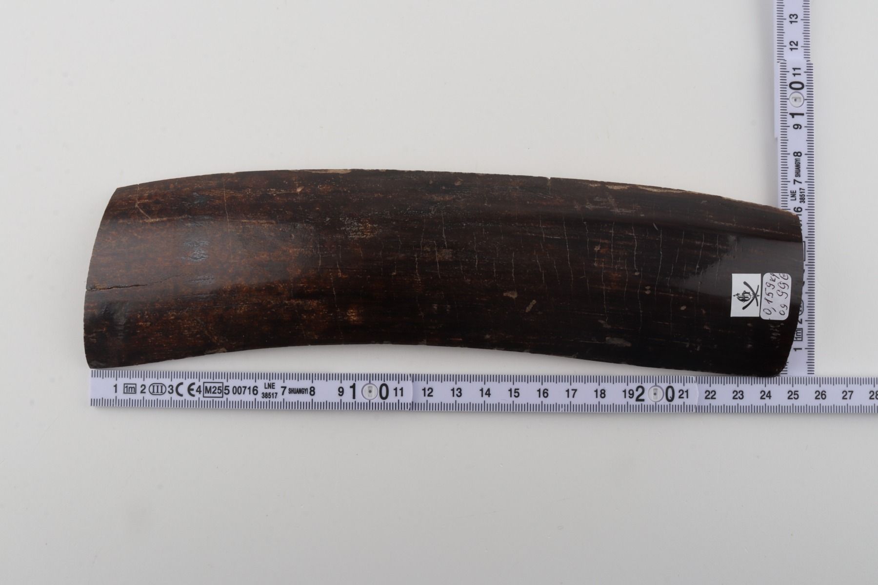 Brown mammoth bark