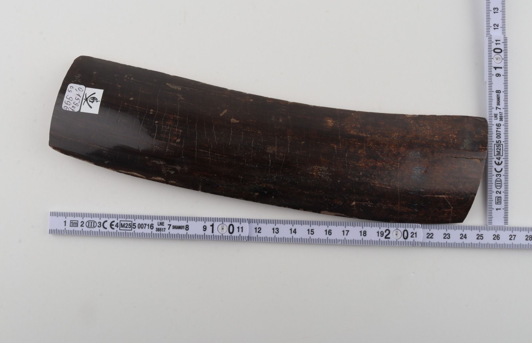 Brown mammoth bark