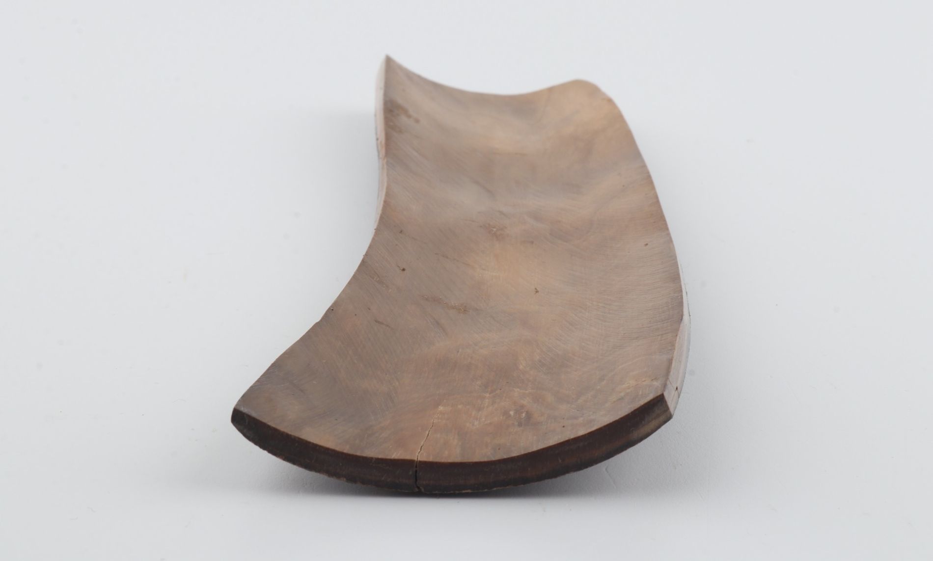Brown mammoth bark
