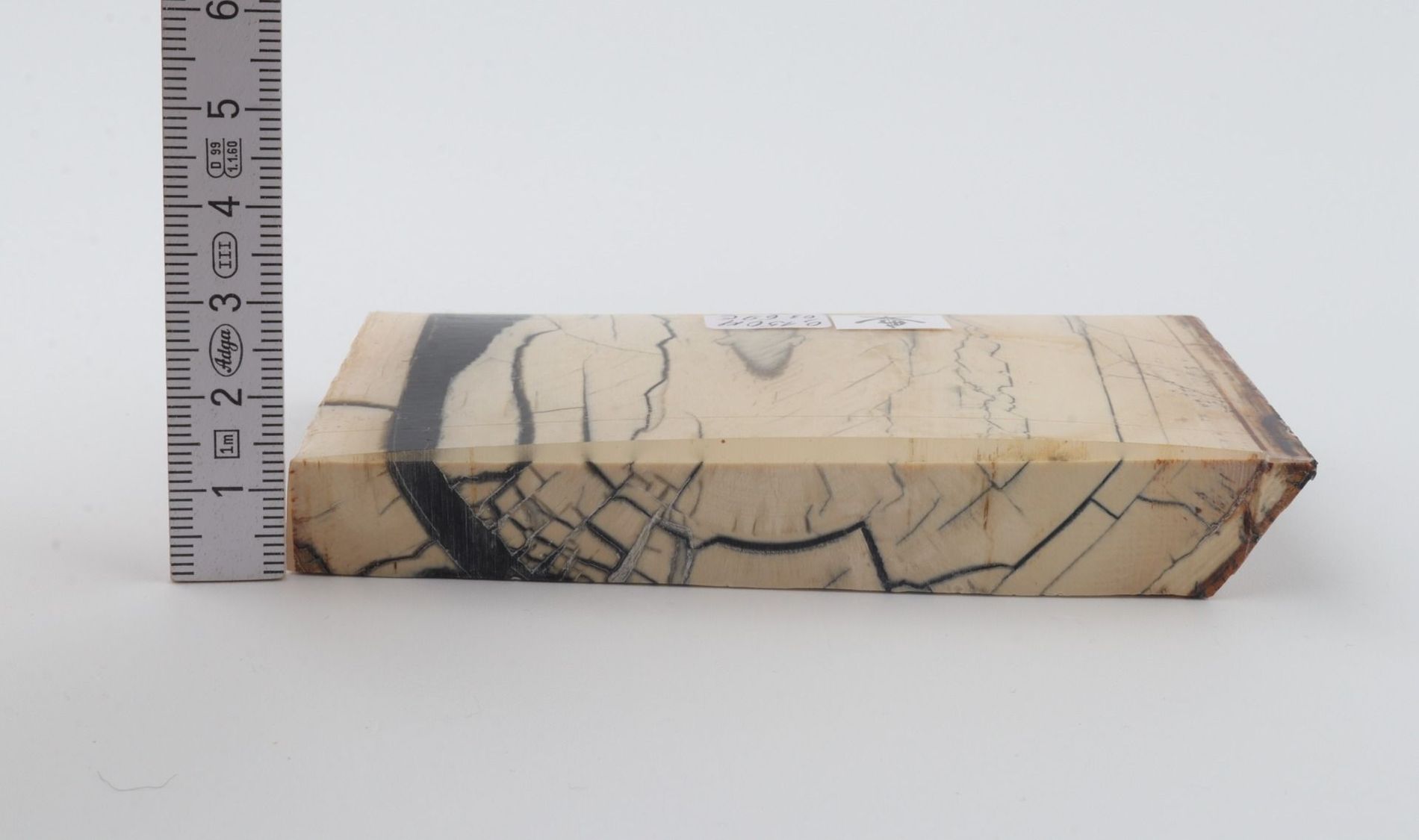 Stabilised mammoth ivory piece
