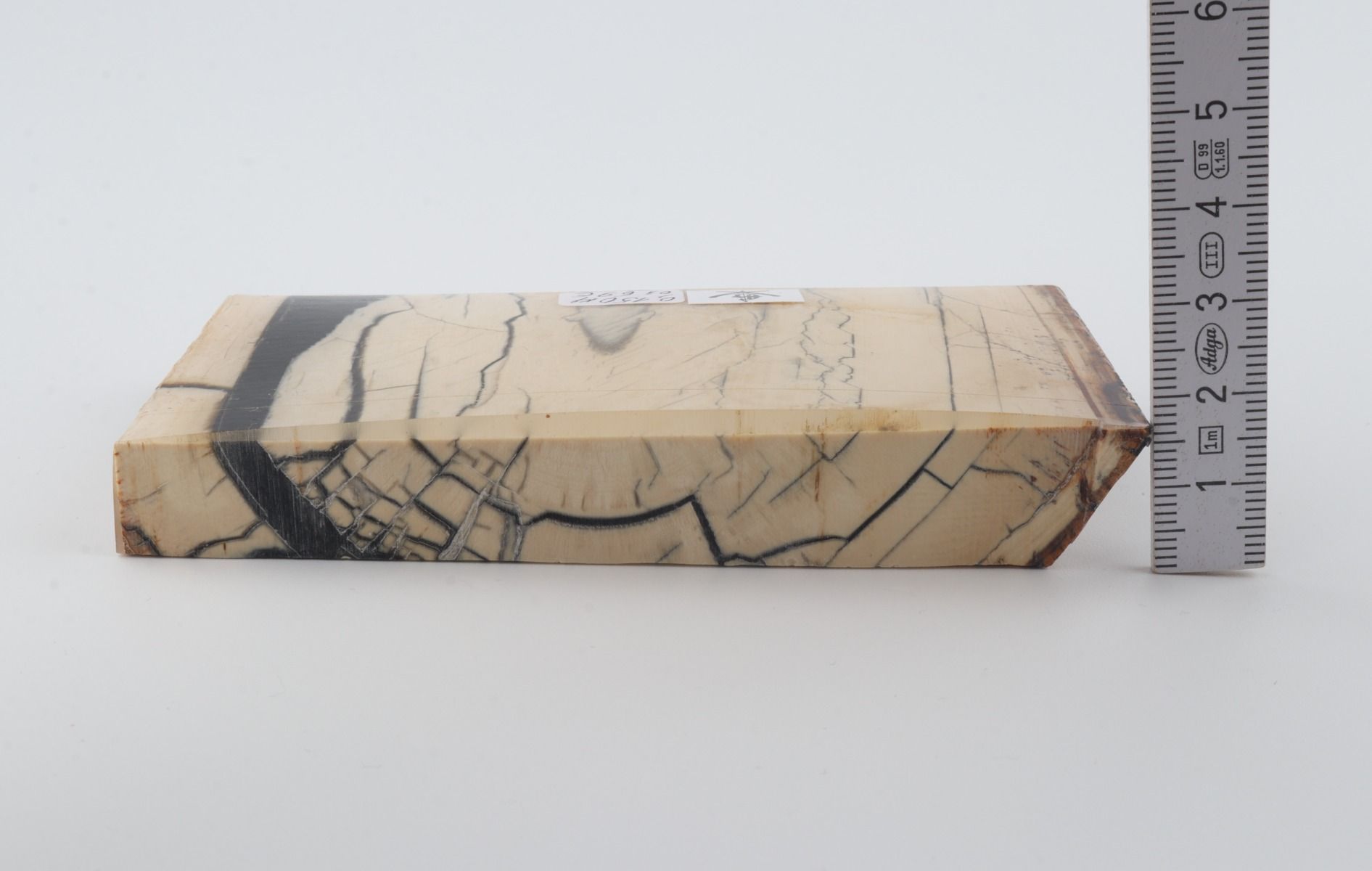 Stabilised mammoth ivory piece