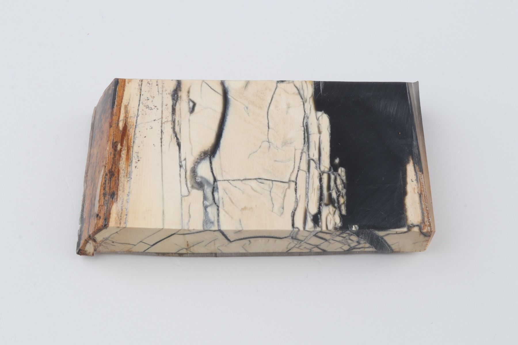 Stabilised mammoth ivory piece