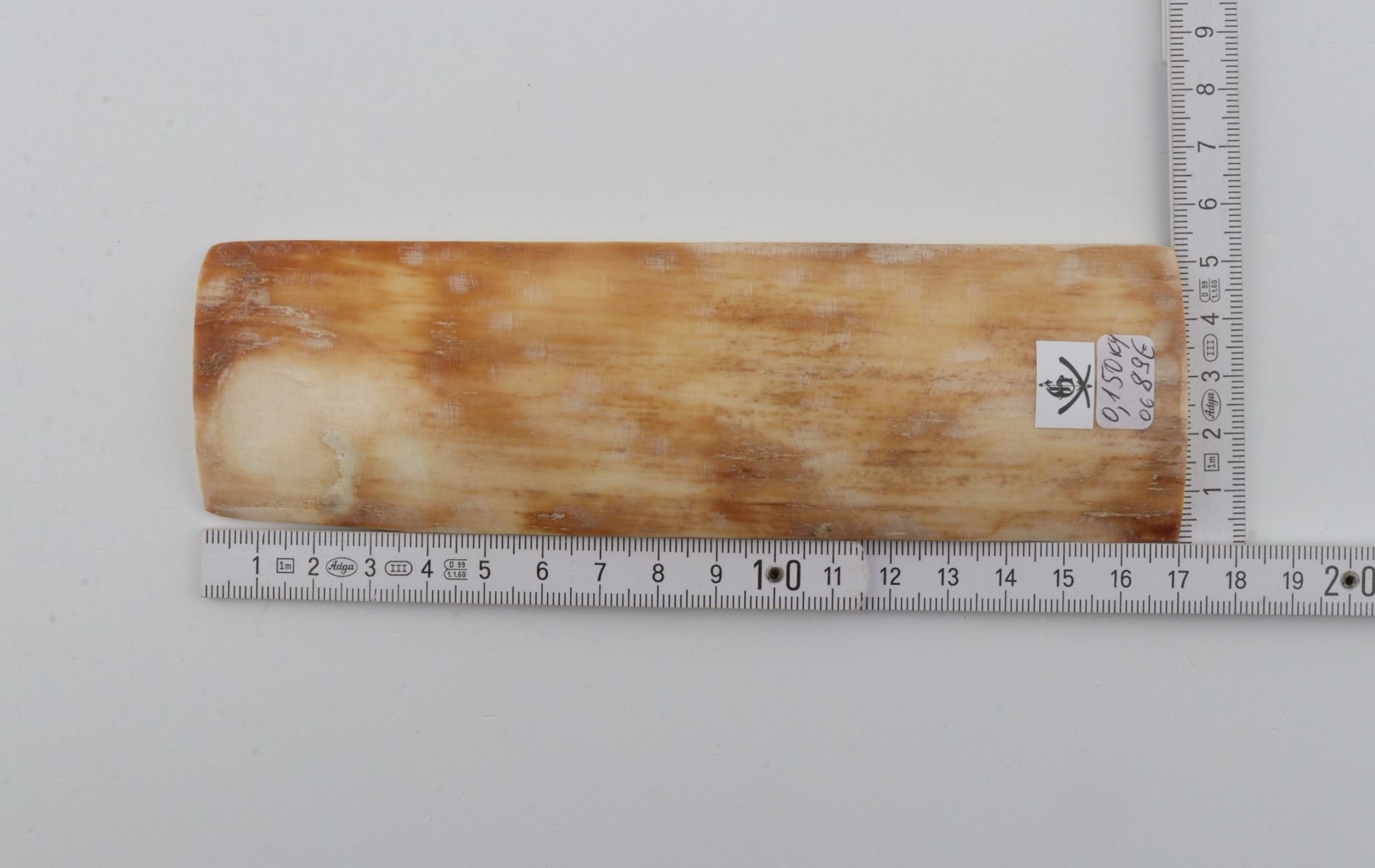 Yellow-orange mammoth bark