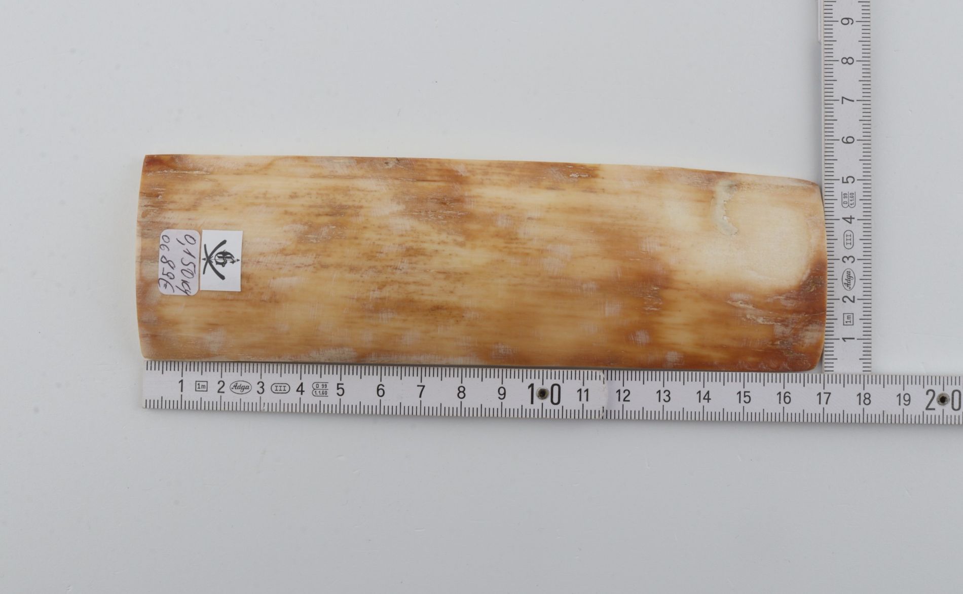 Yellow-orange mammoth bark