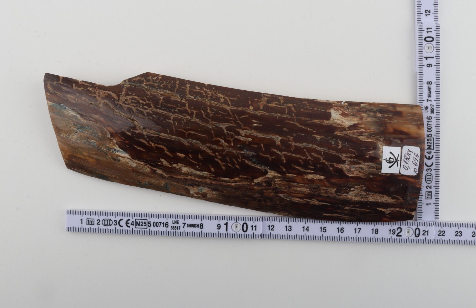 Brown mammoth bark