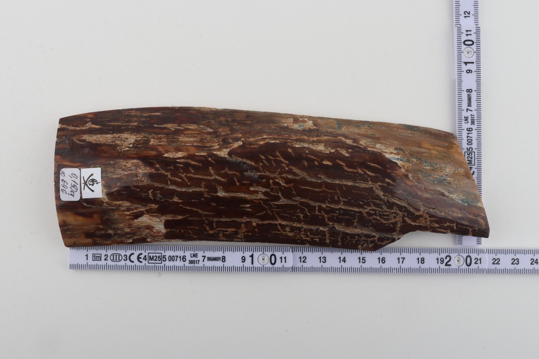 Brown mammoth bark