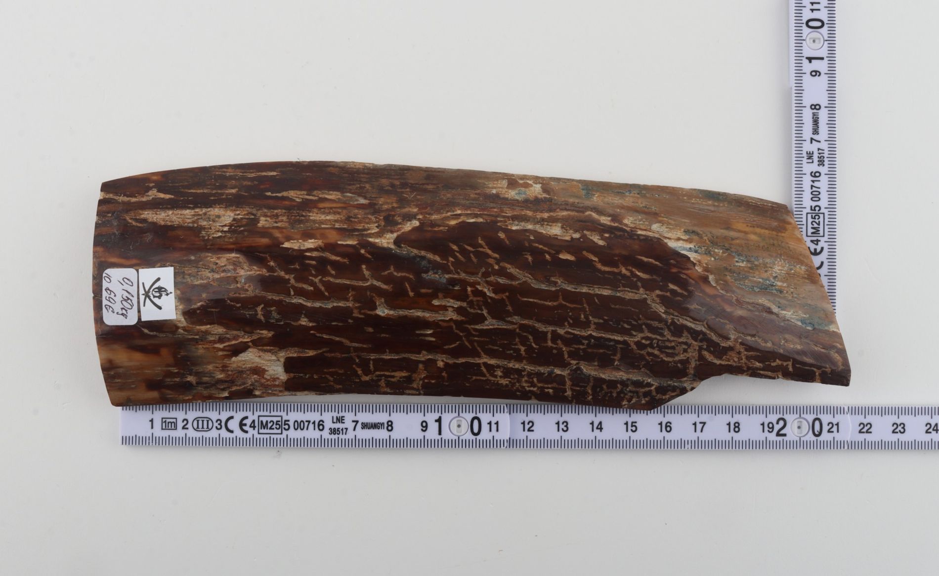 Brown mammoth bark