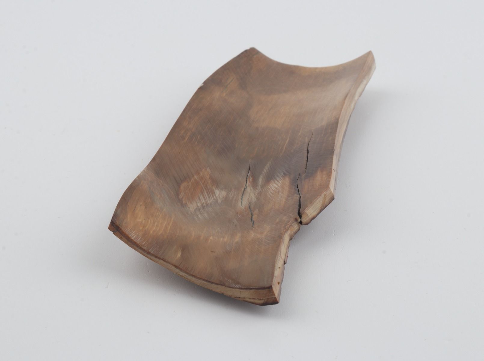Brown mammoth bark