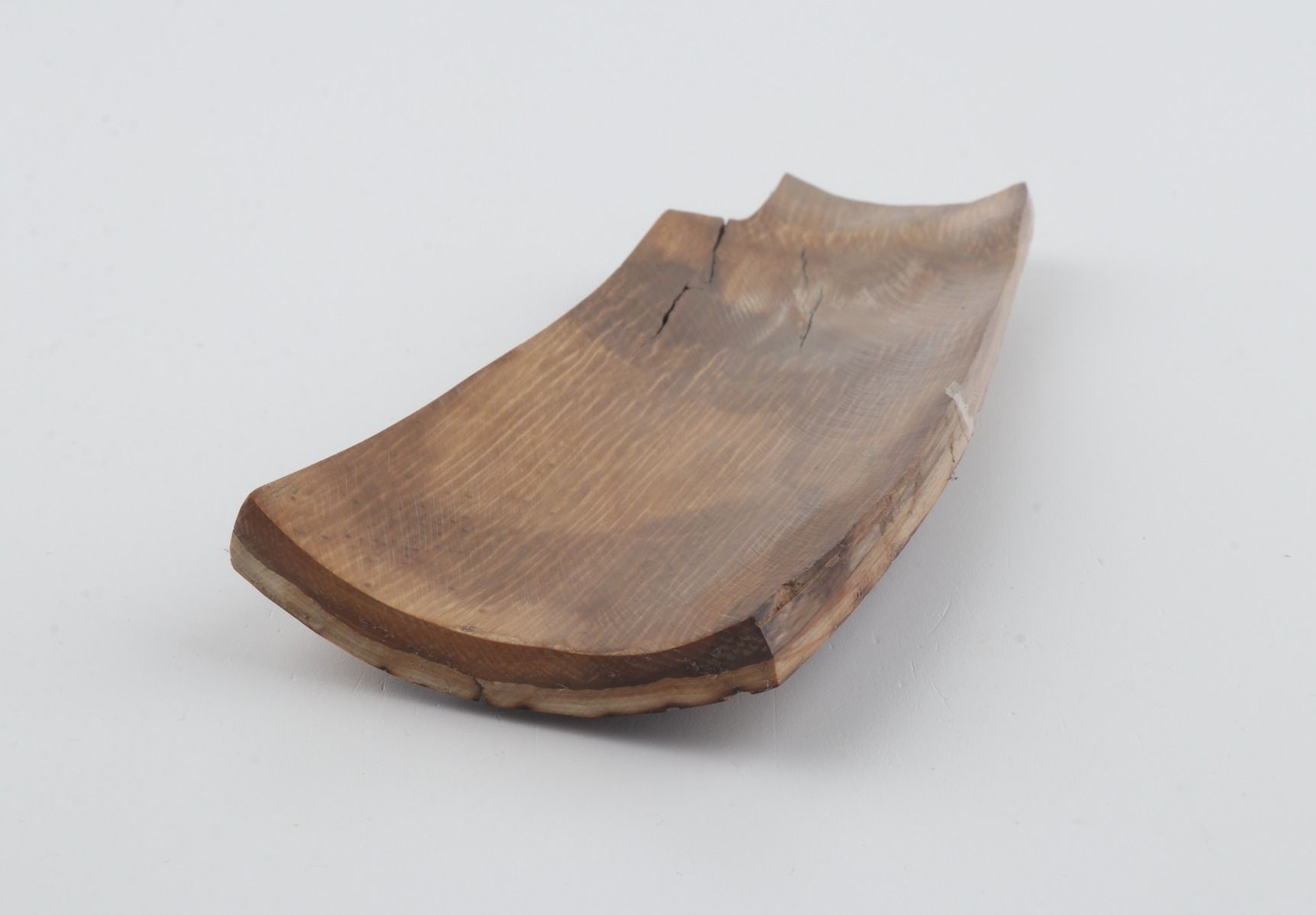 Brown mammoth bark