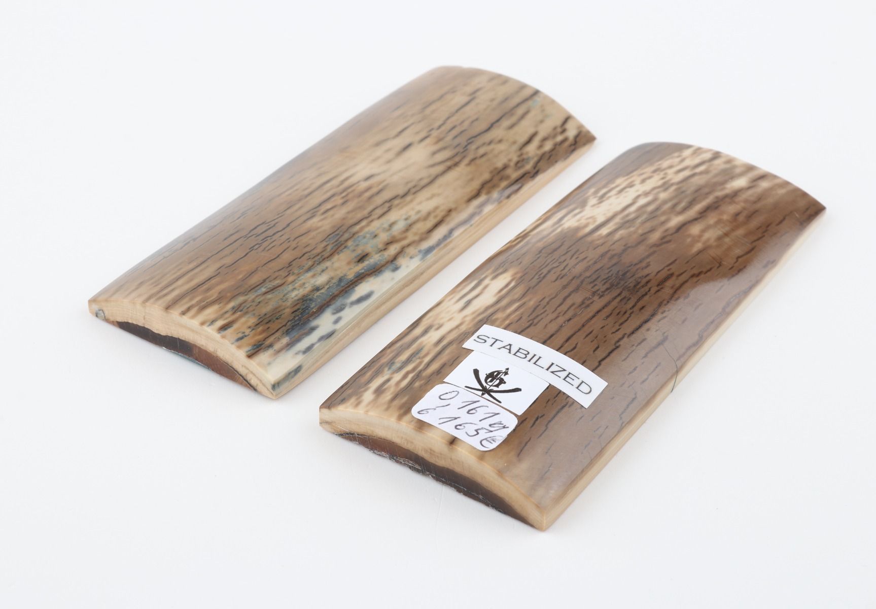 Stabilised mammoth bark scales