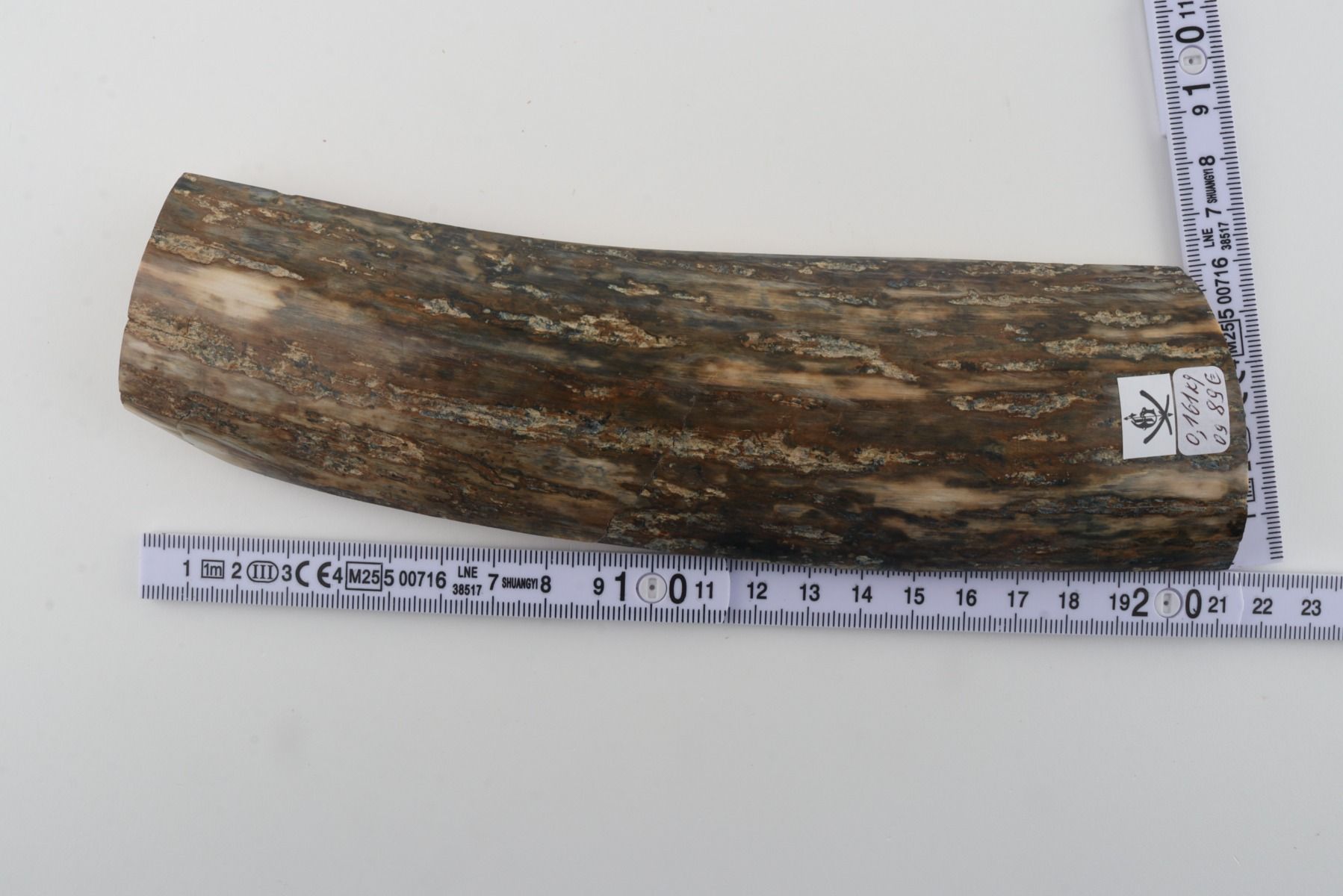 Green mammoth bark