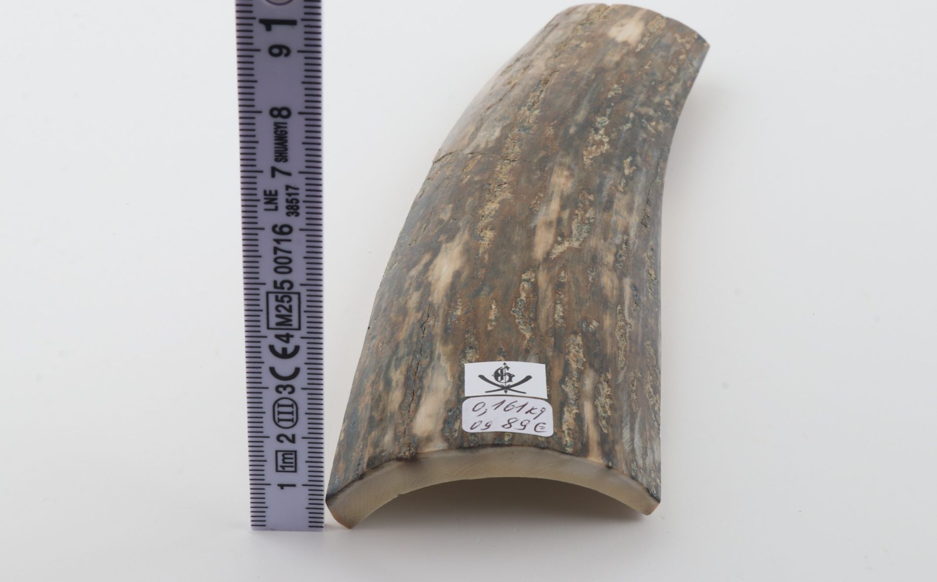 Green mammoth bark