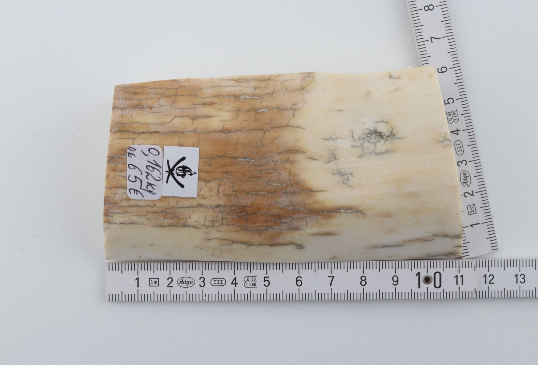 White mammoth ivory piece