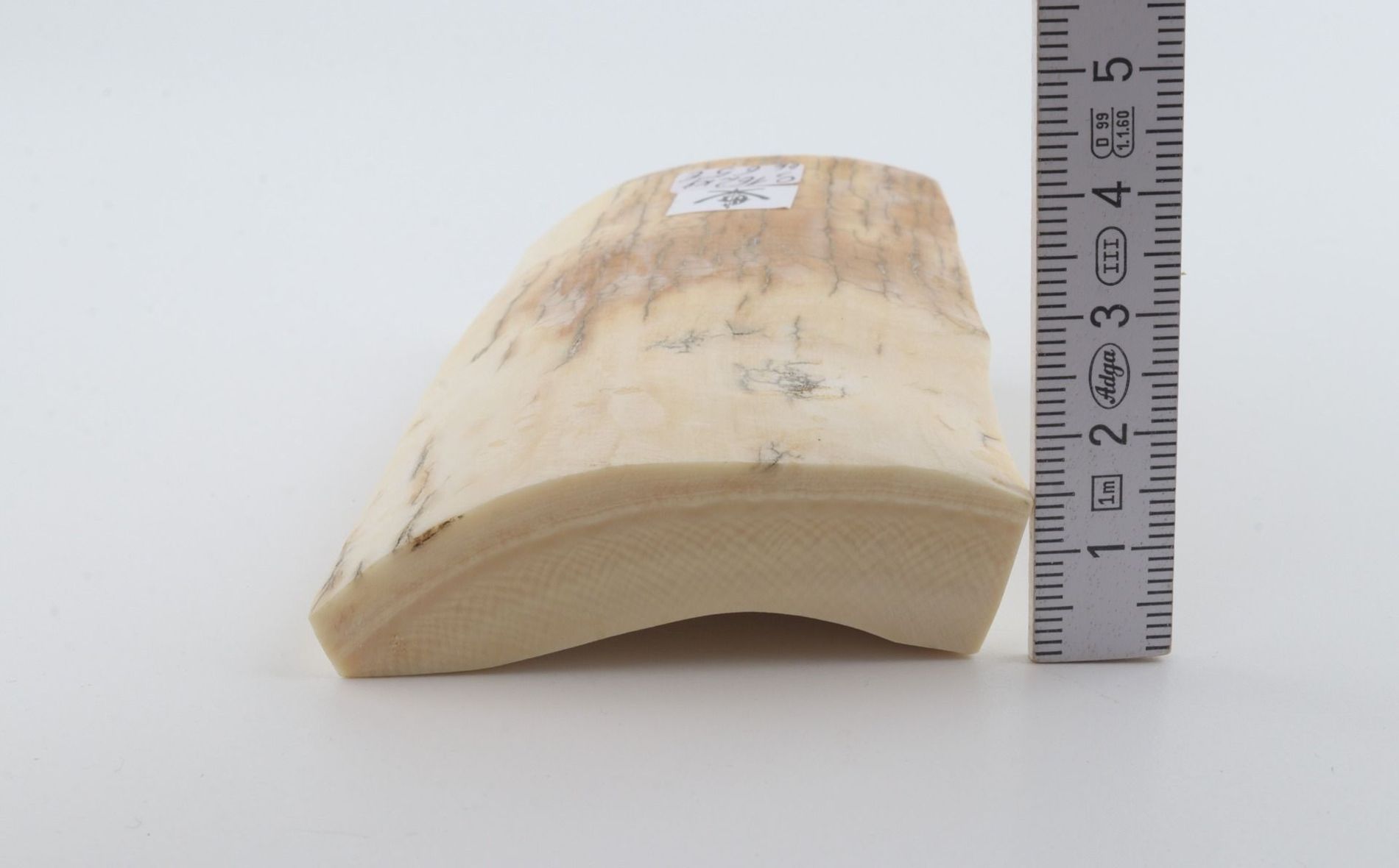 White mammoth ivory piece