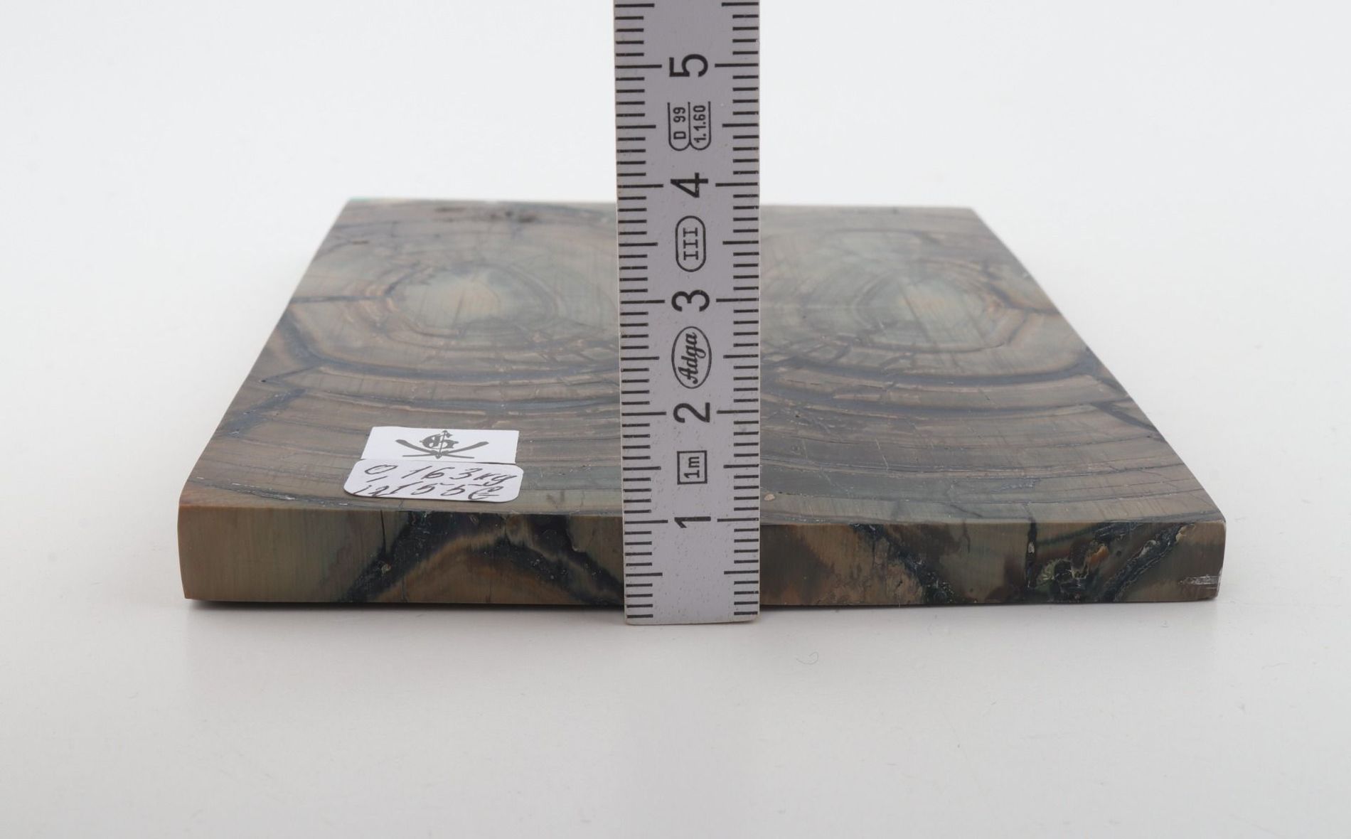 Stabilised mammoth ivory scales