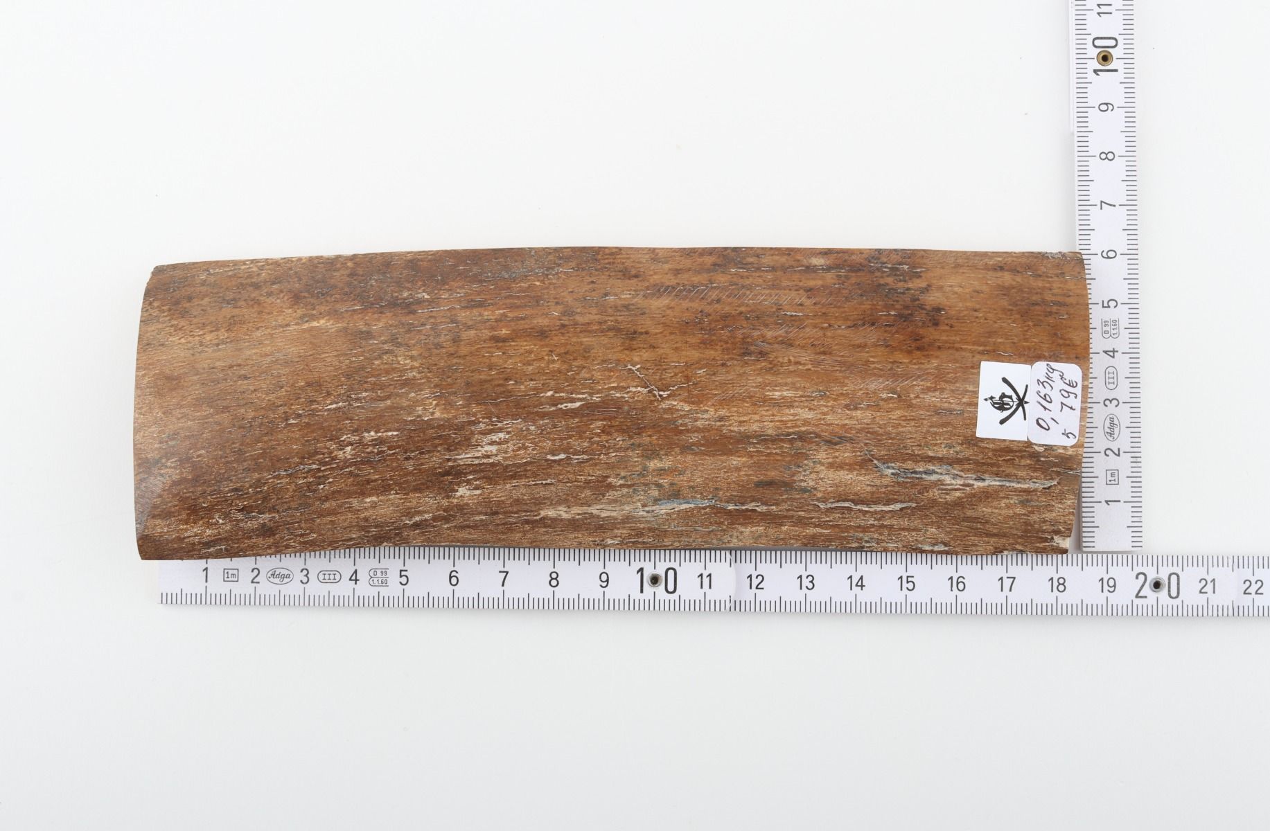 Beige mammoth bark