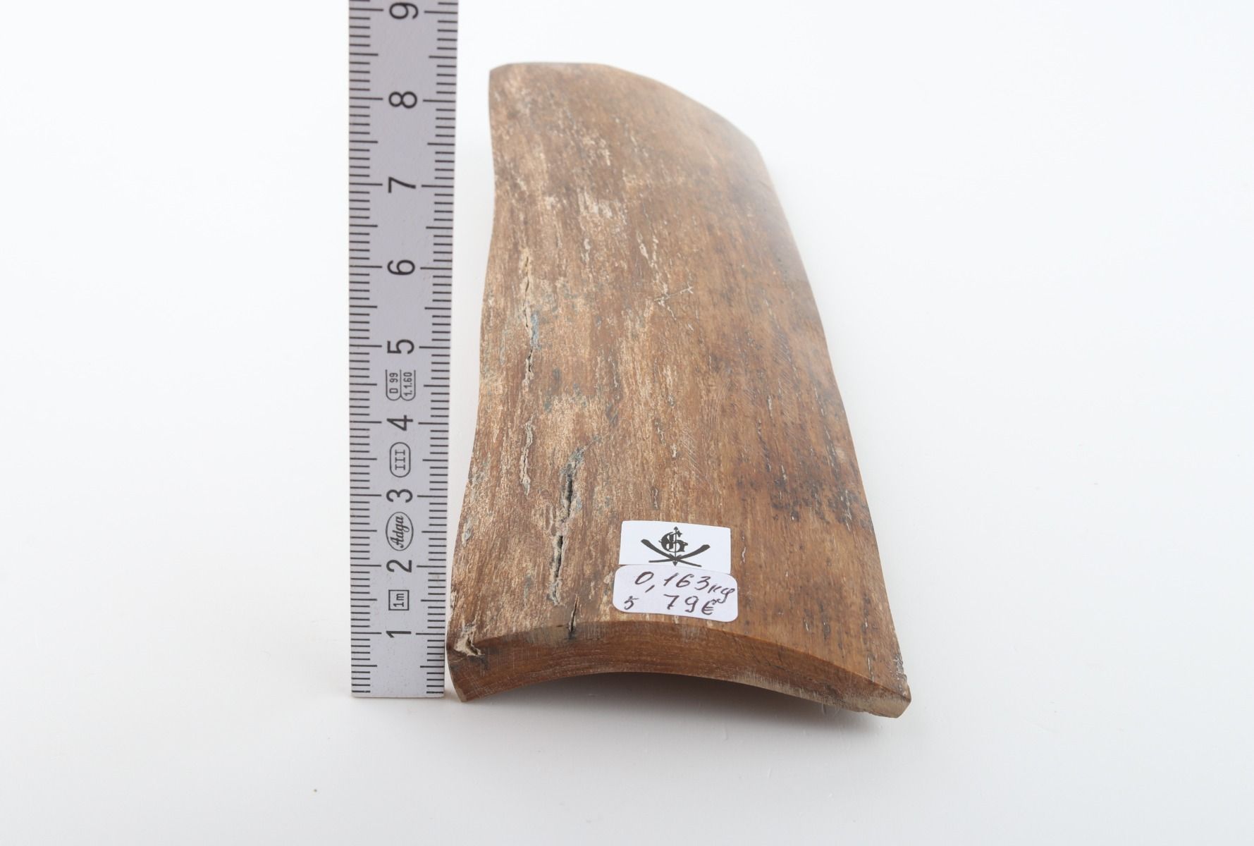 Beige mammoth bark