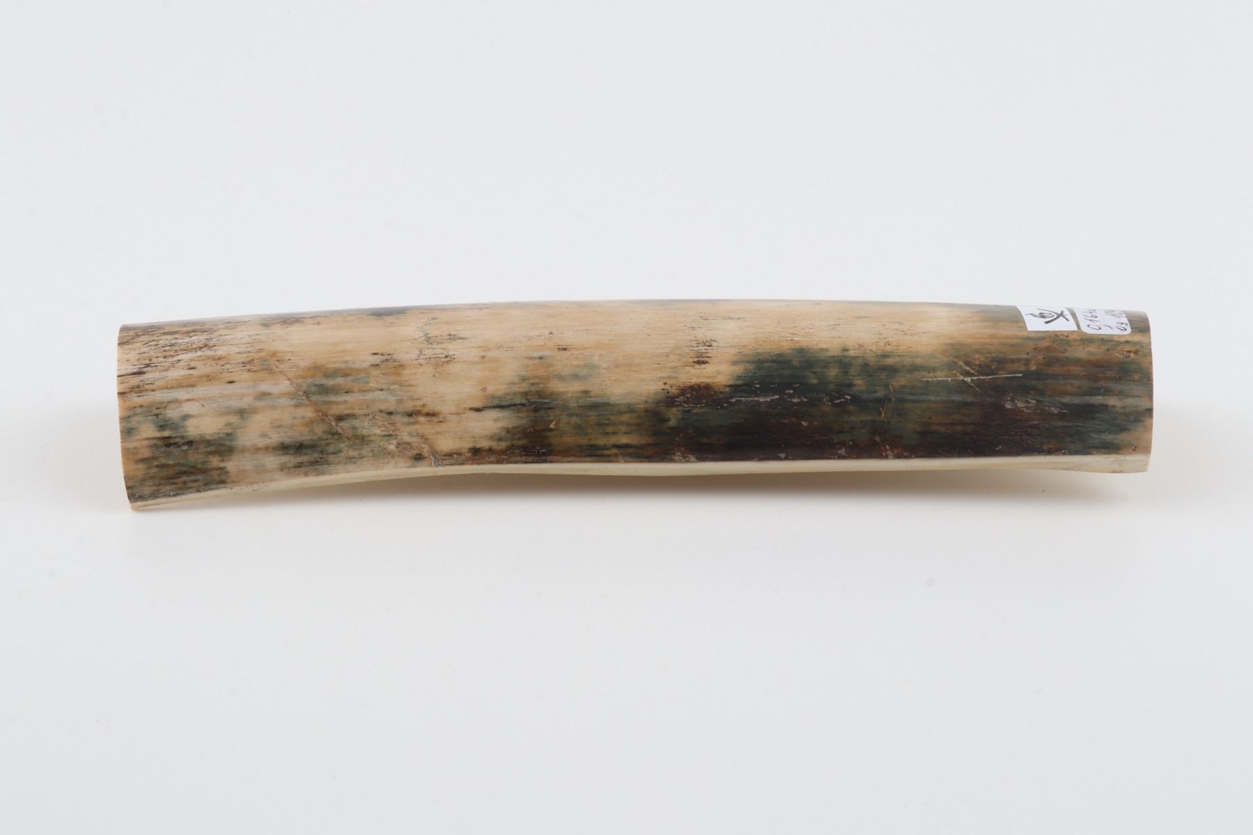 Natural mammoth bark
