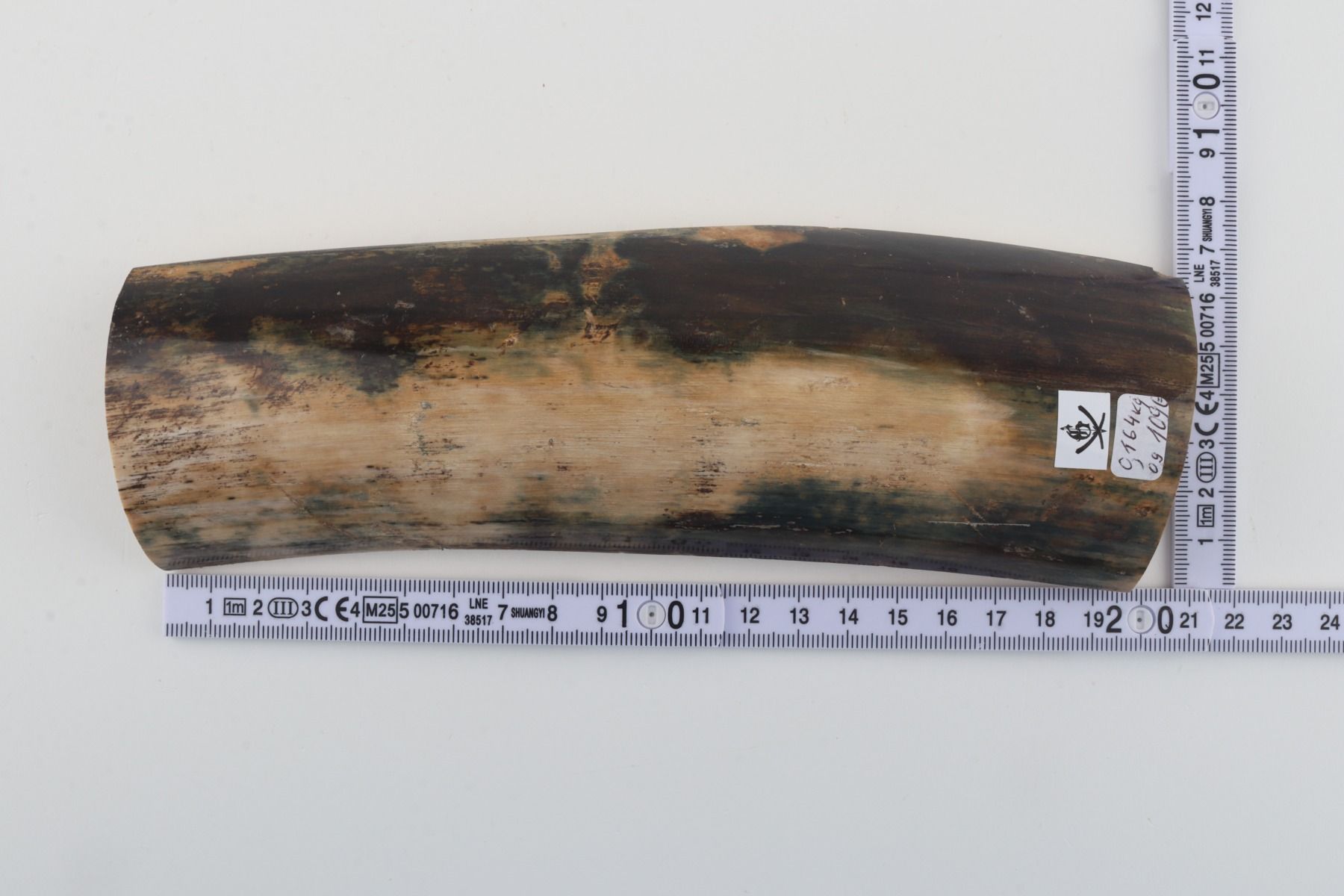 Natural mammoth bark