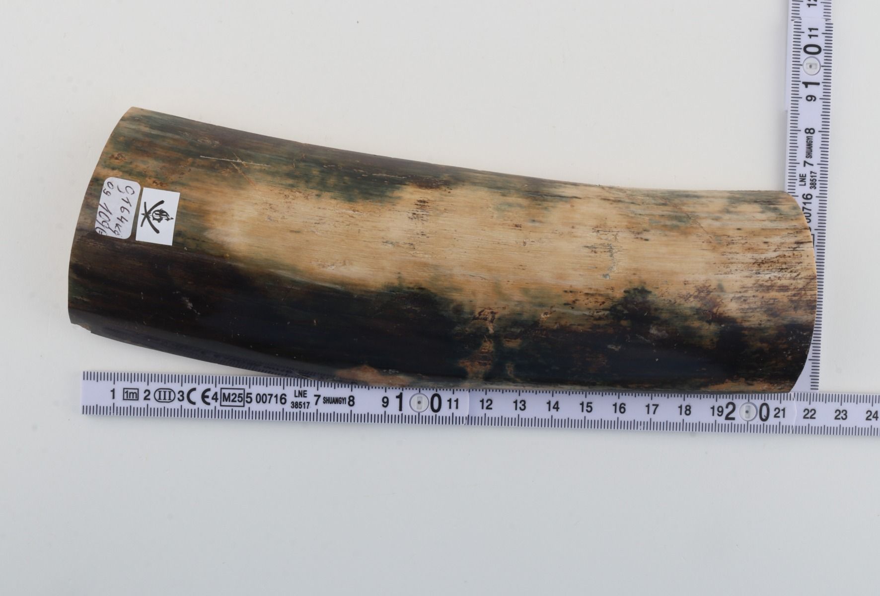 Natural mammoth bark