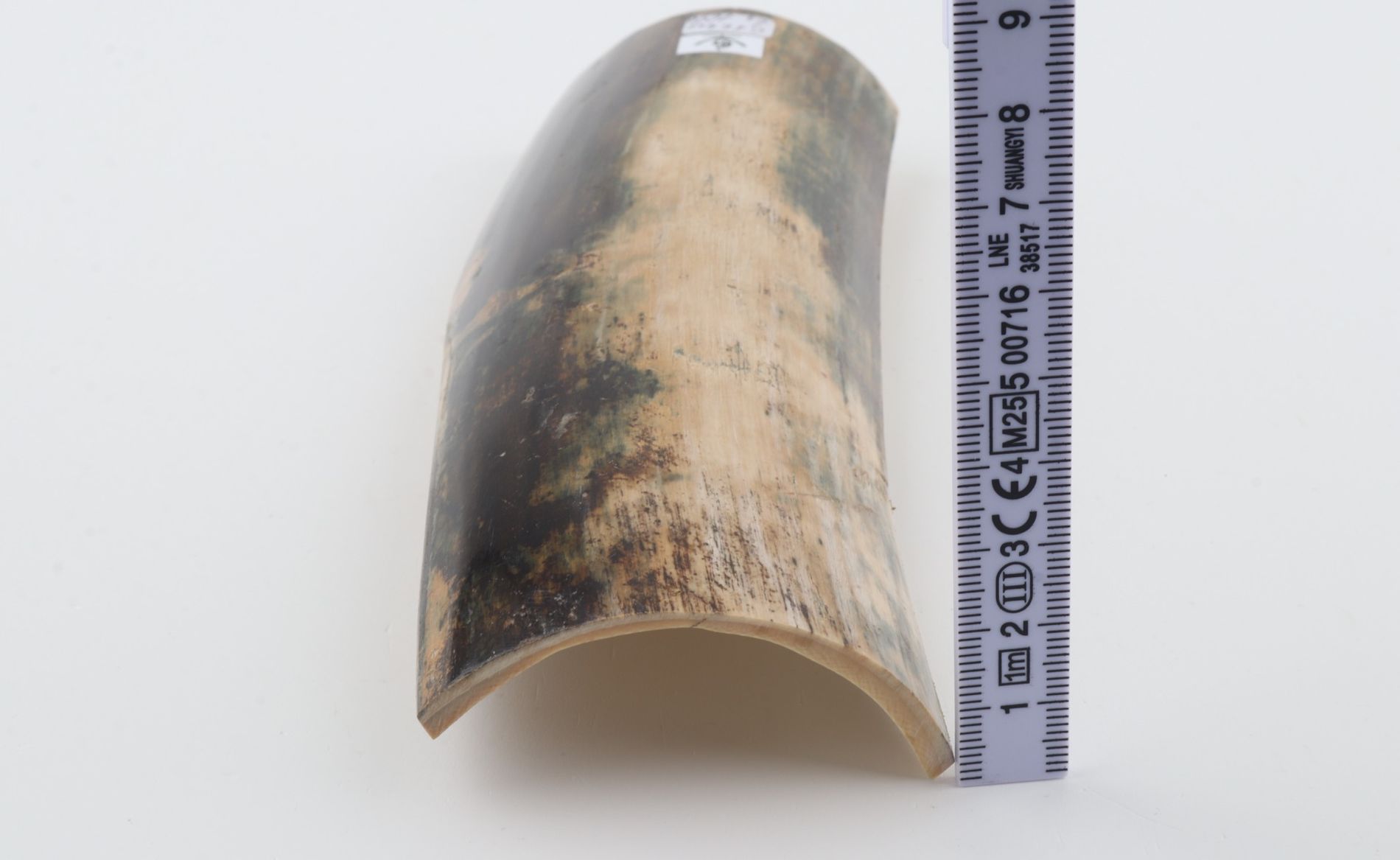 Natural mammoth bark