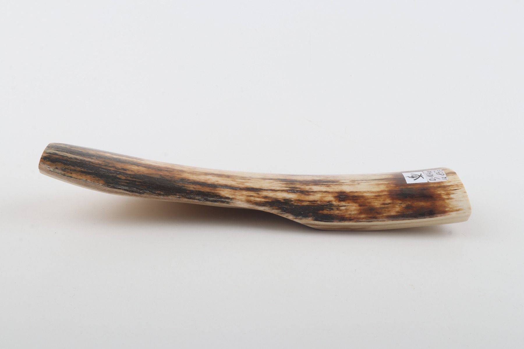 White-brown mammoth bark