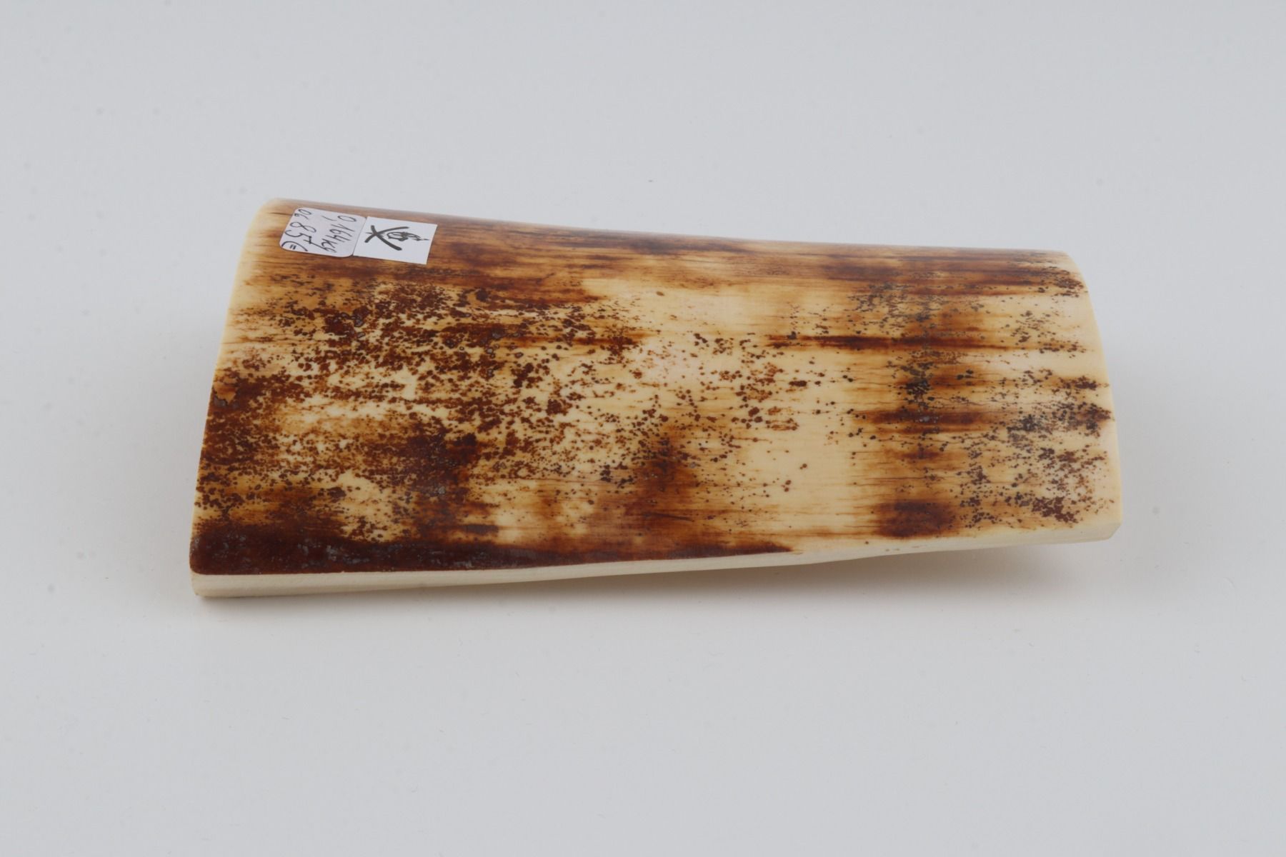 Brown-orange mammoth bark