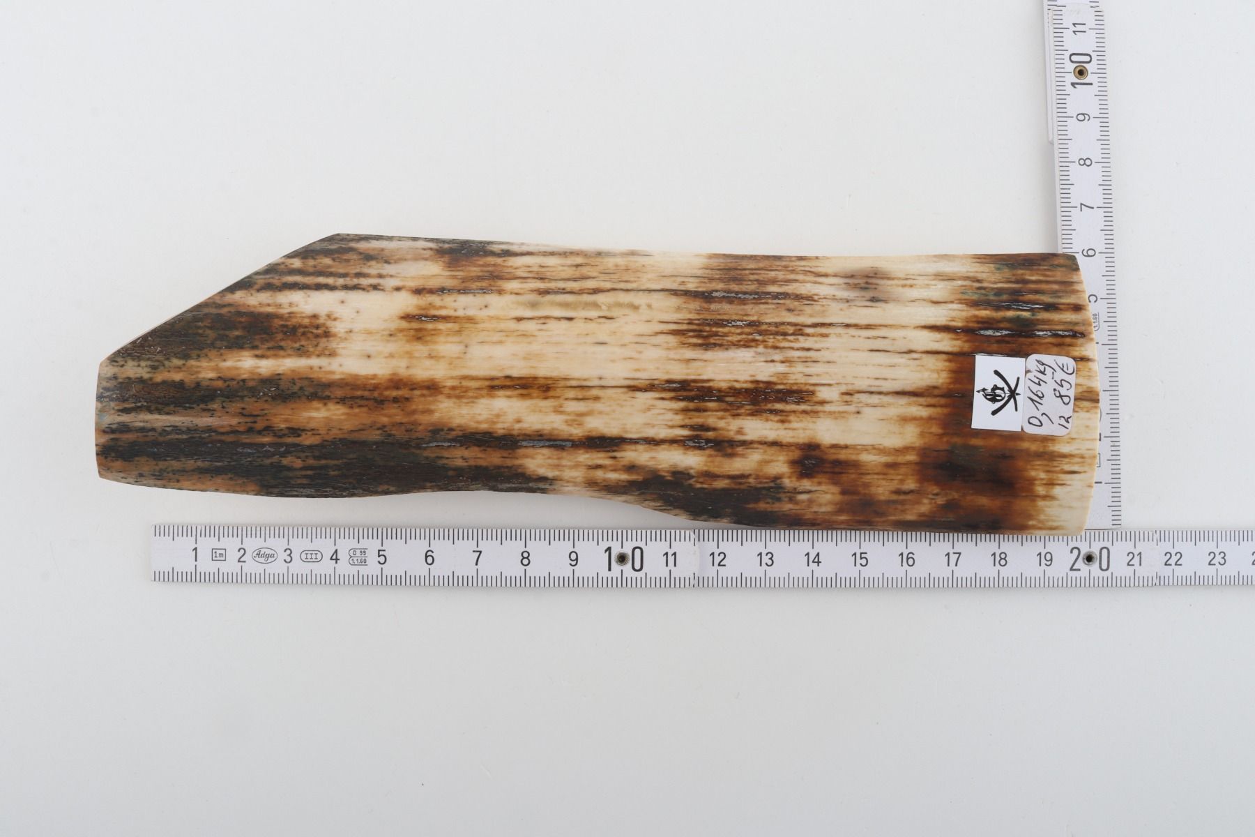 White-brown mammoth bark