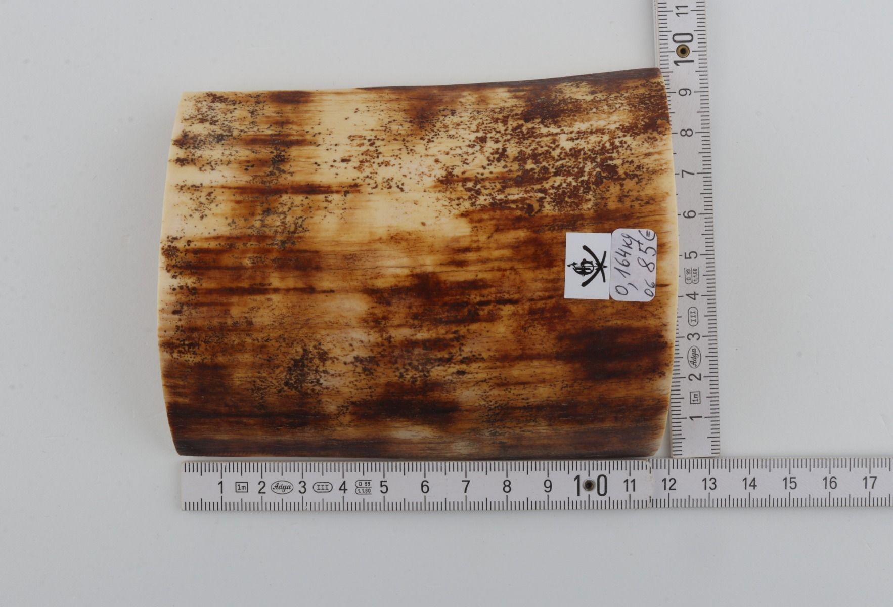 Brown-orange mammoth bark
