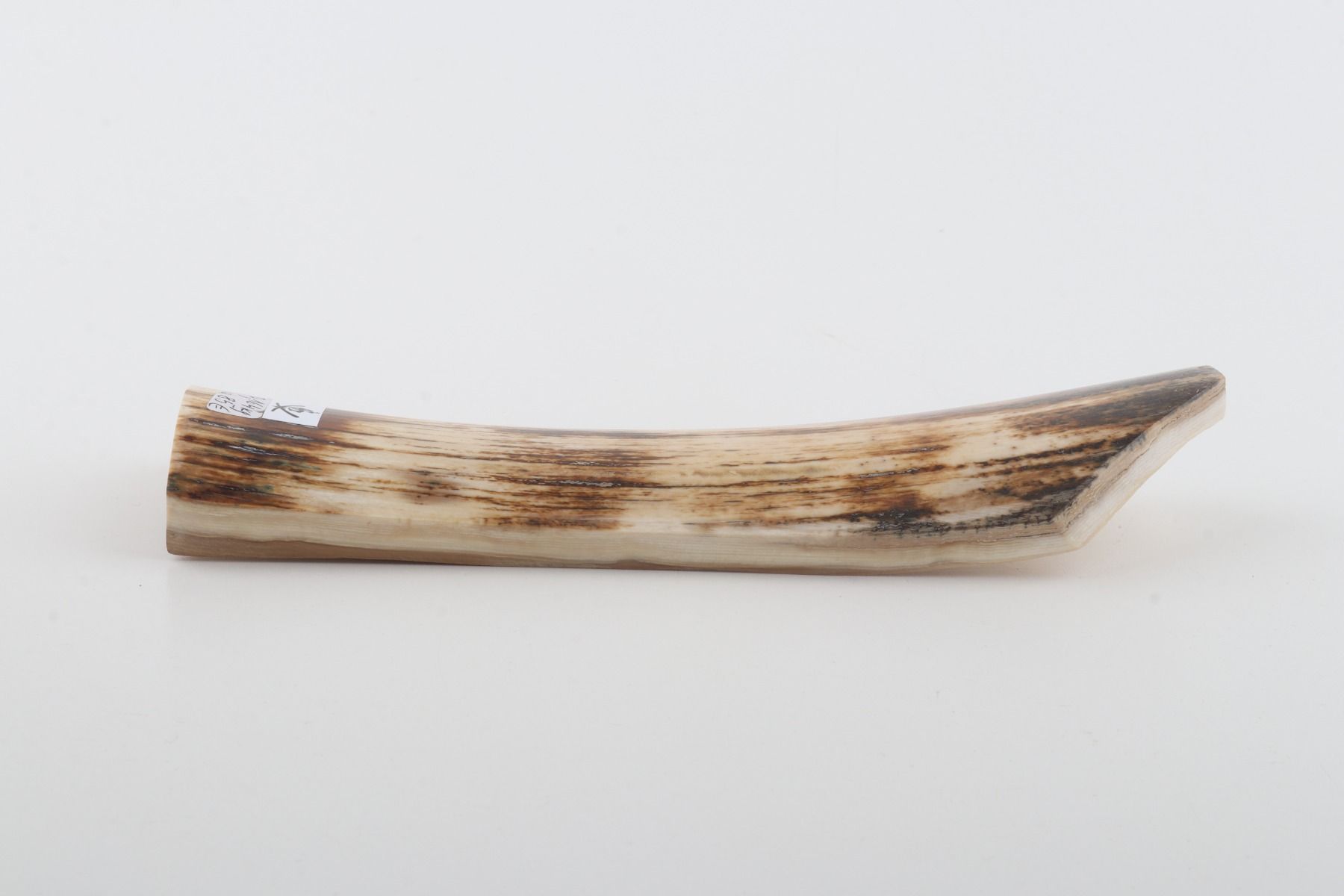 White-brown mammoth bark
