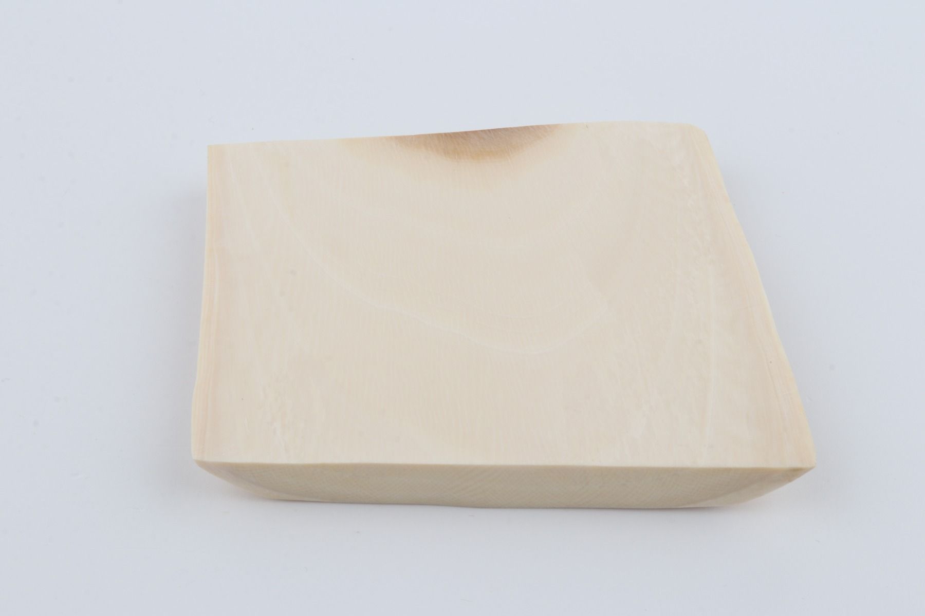 White mammoth ivory segment