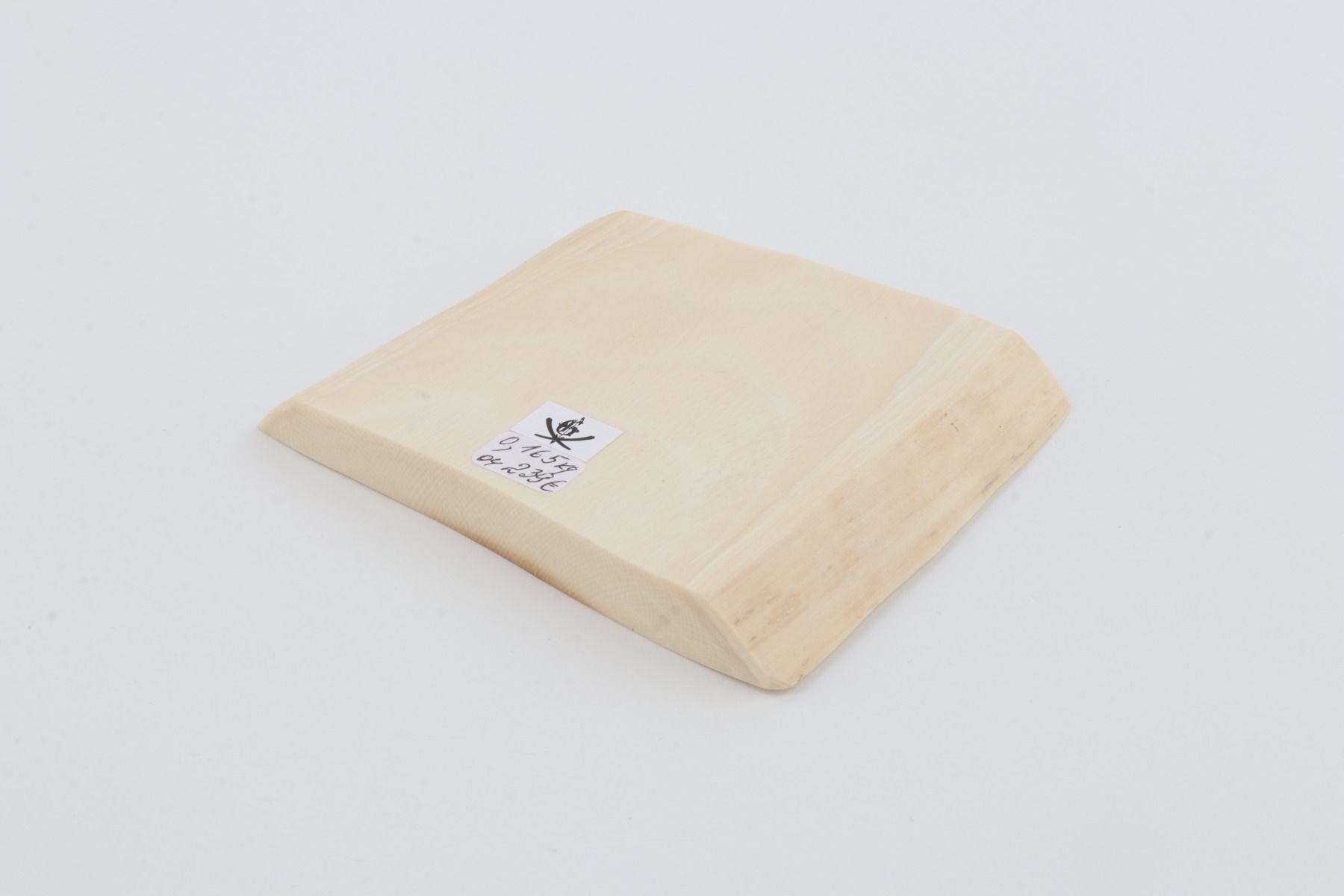 White mammoth ivory segment