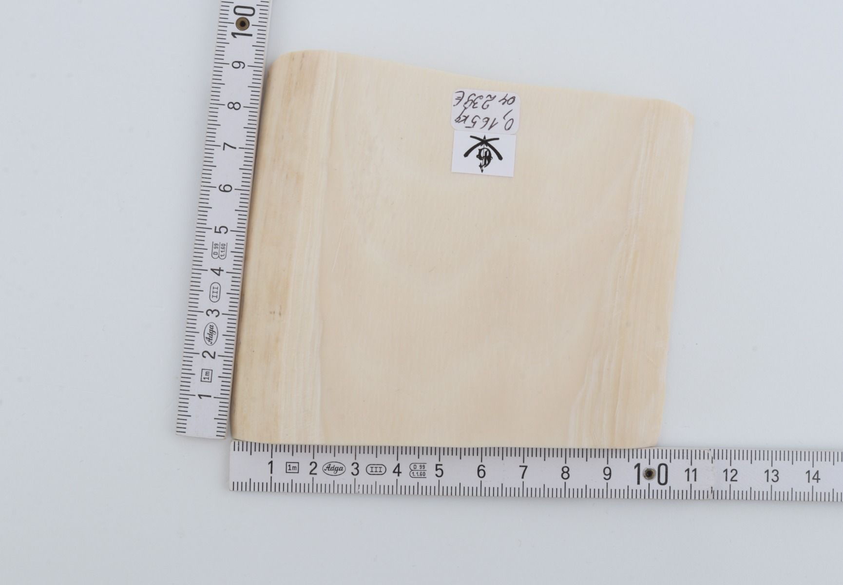 White mammoth ivory segment