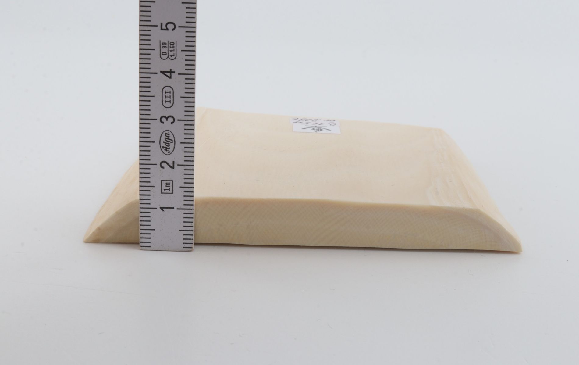 White mammoth ivory segment